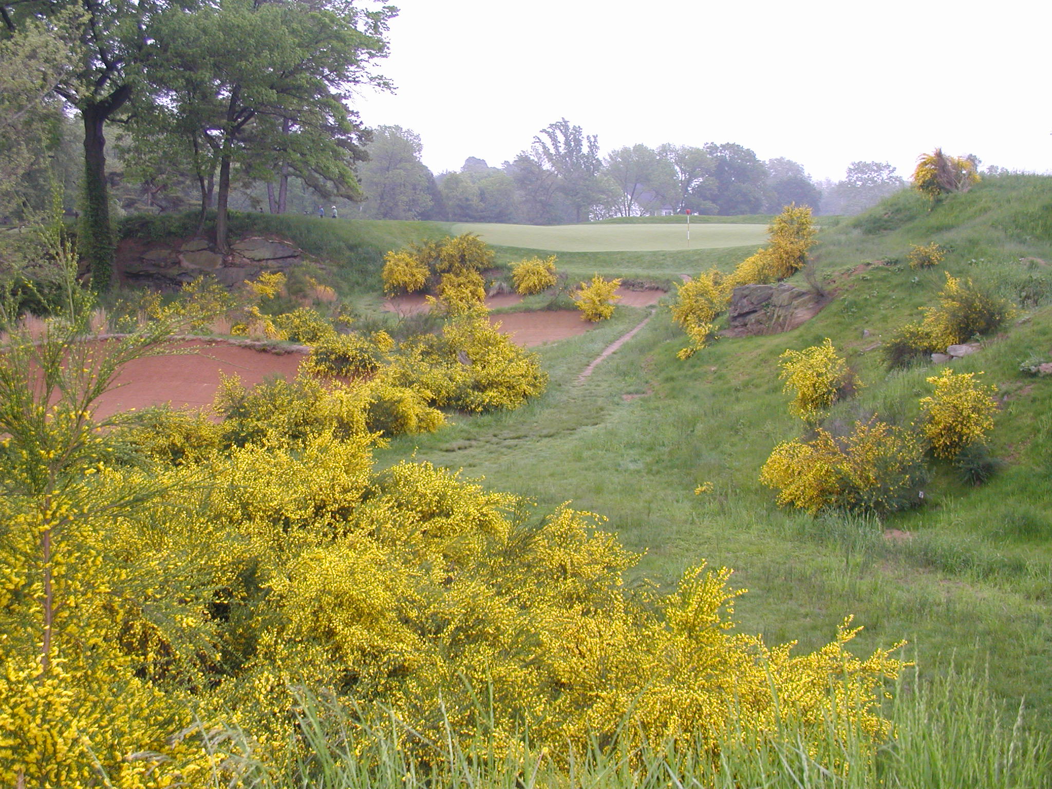 Golf Merion 16-2.JPG