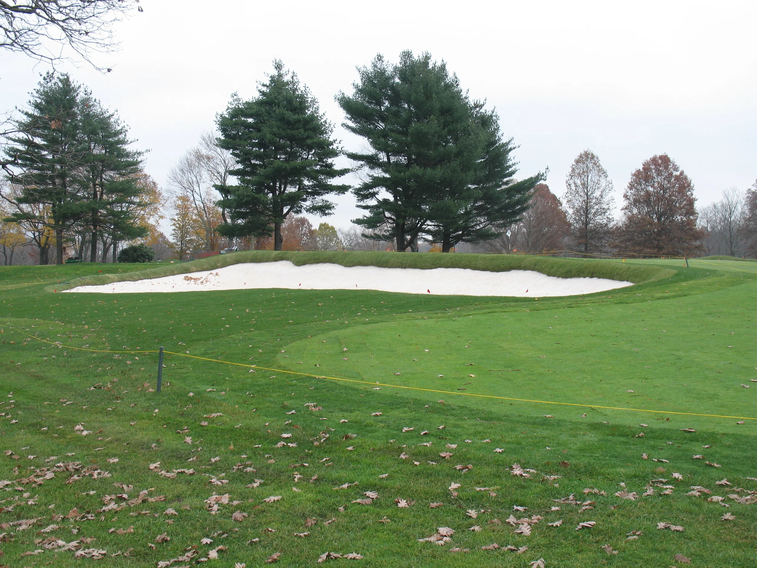 Project Century 17-7.JPG