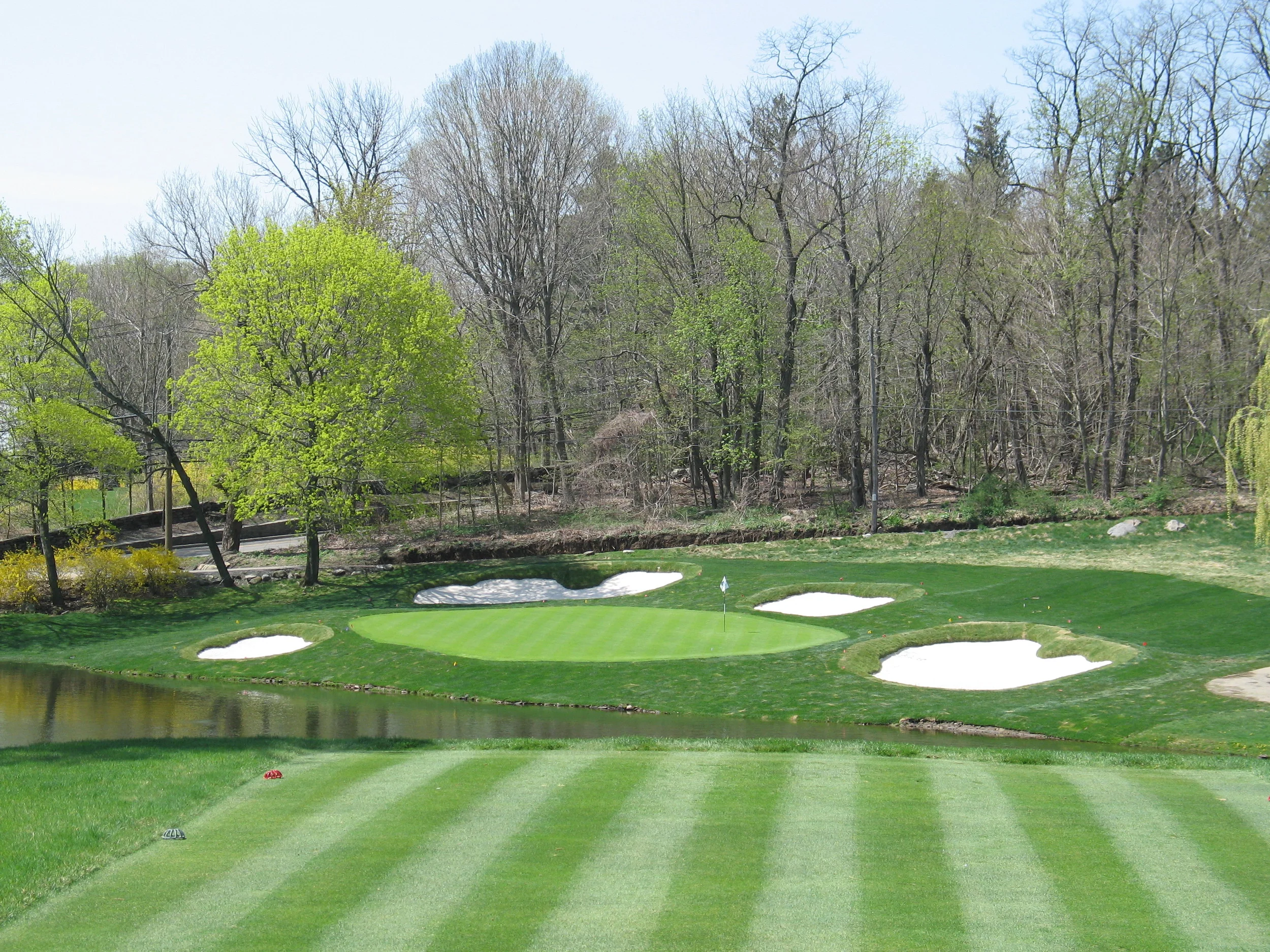 Project Century 13-2.JPG