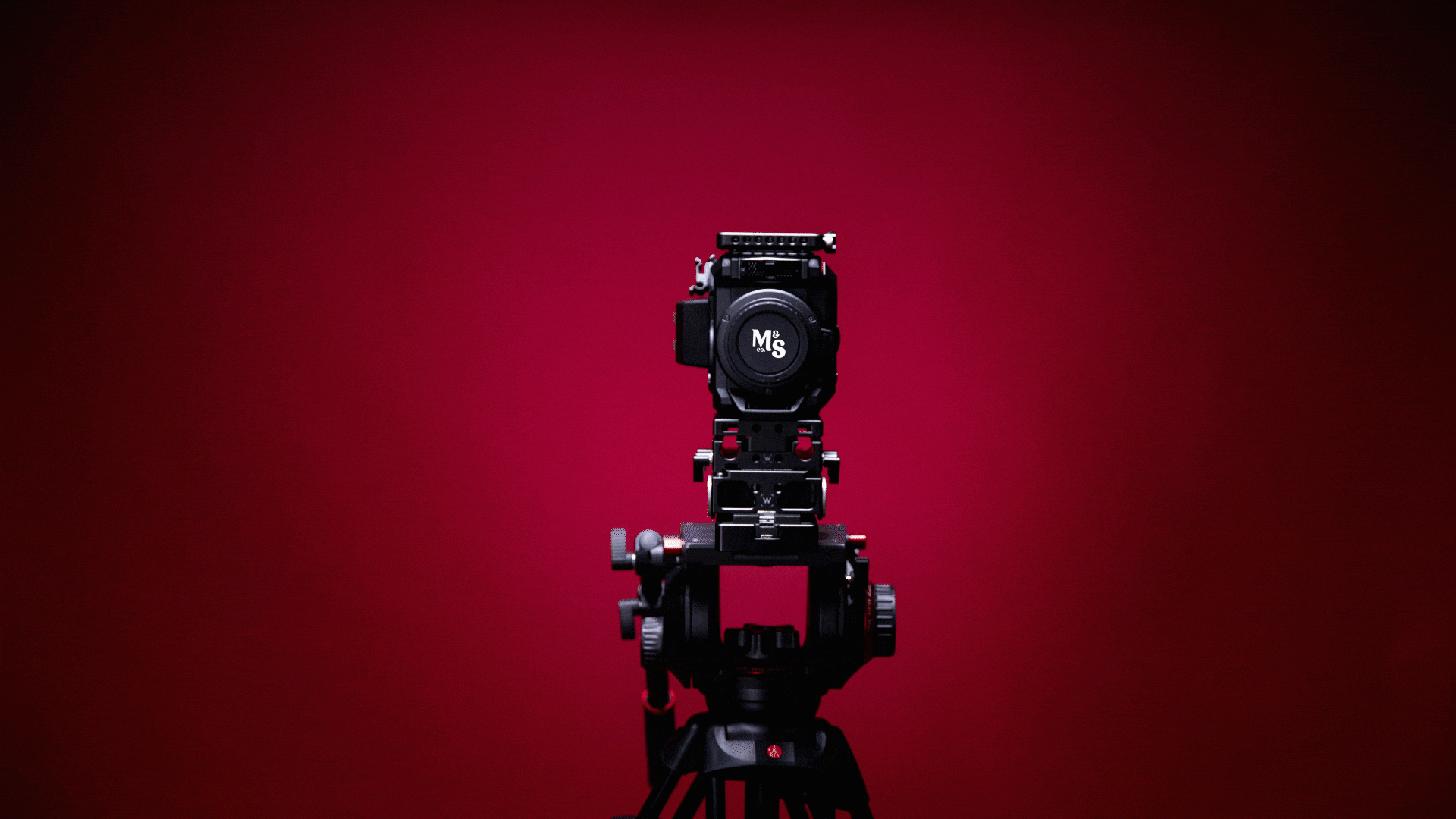 Stringout_Gif (1).gif