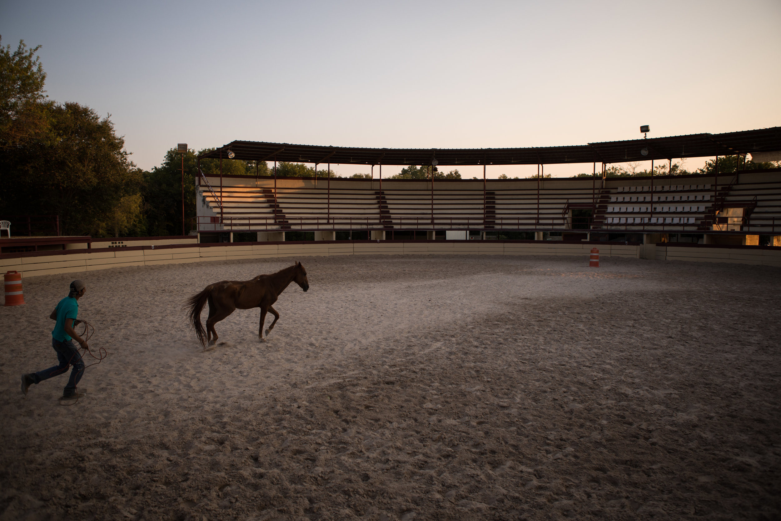 BonnieArbittier_goldenhour_september_11_2-1.jpg