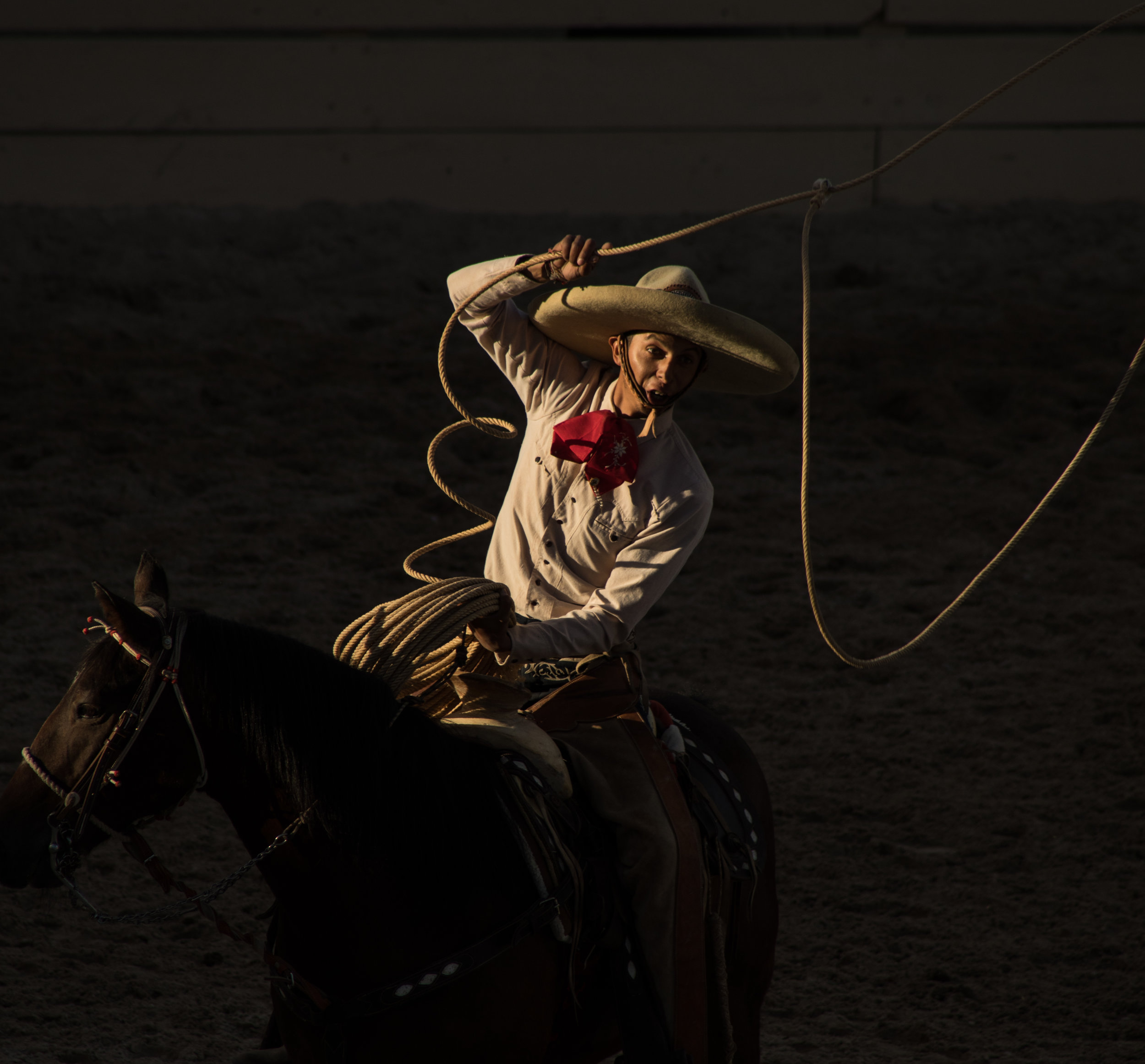 roping_large-9440.jpg