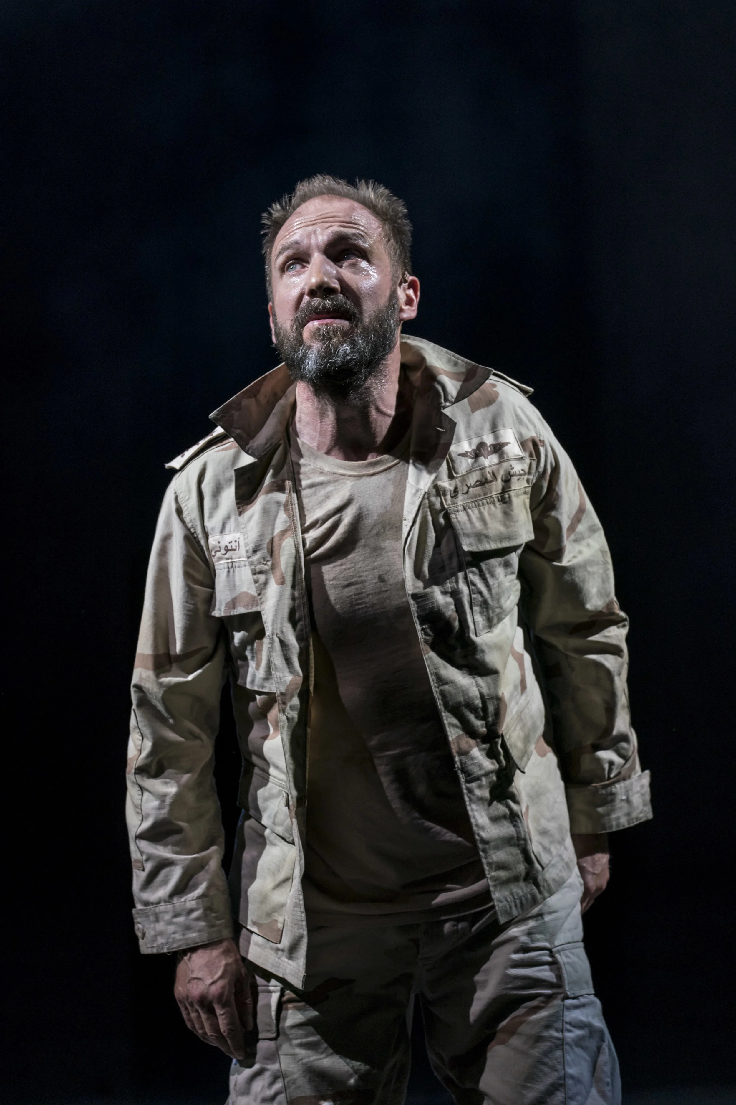 Ralph Fiennes in Antony & Cleopatra. Image by Johan Persson.jpg