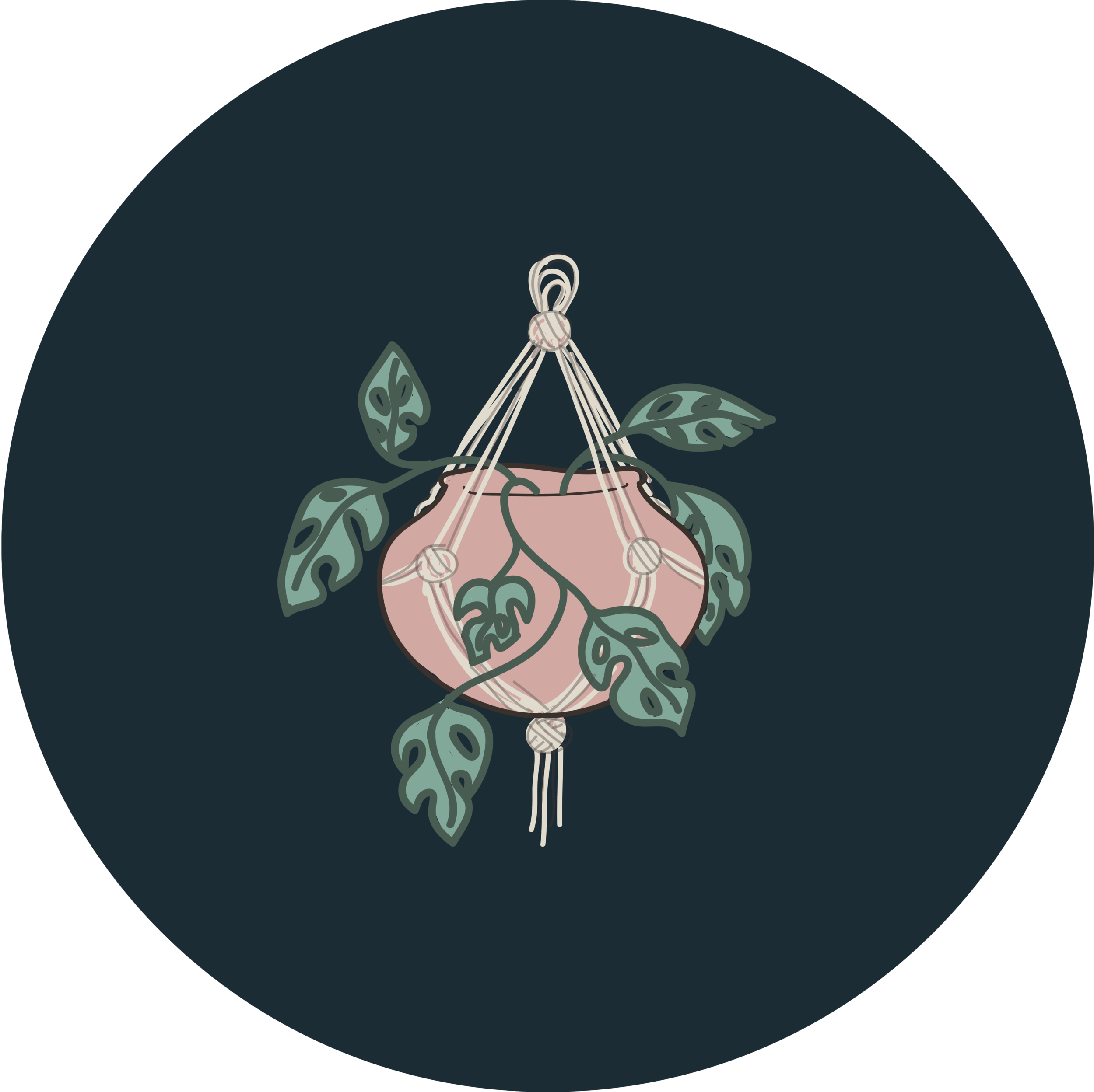 plantsinsta-01.png