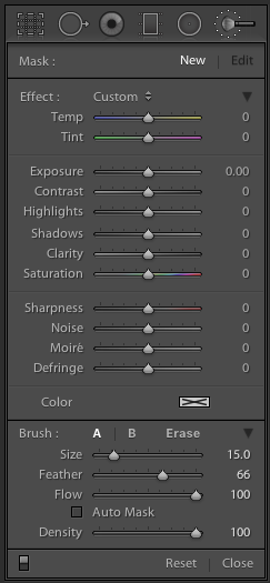 The Adjustment Brush Tool