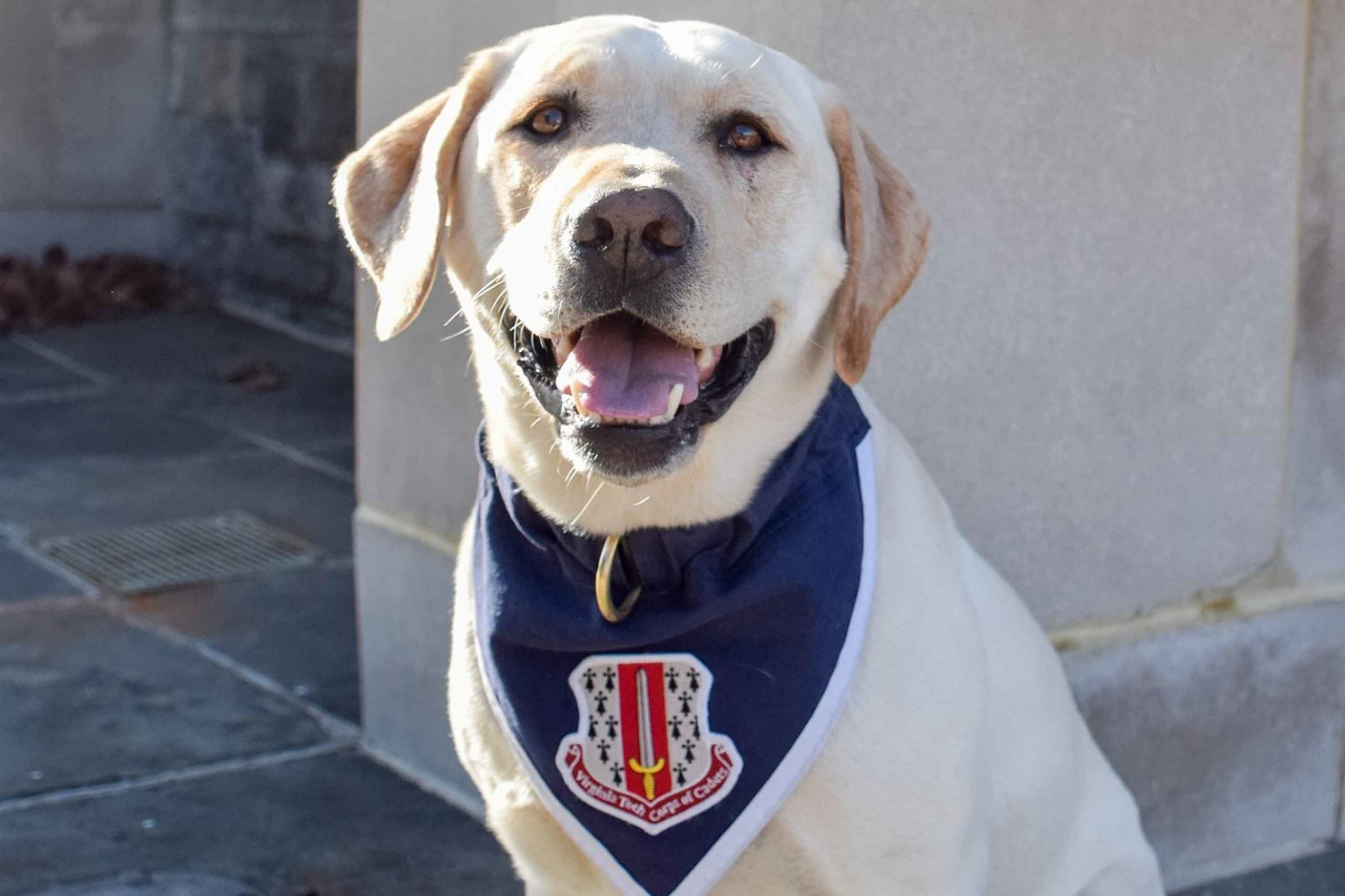 Corps of Cadets Canine Ambassador: Growley II