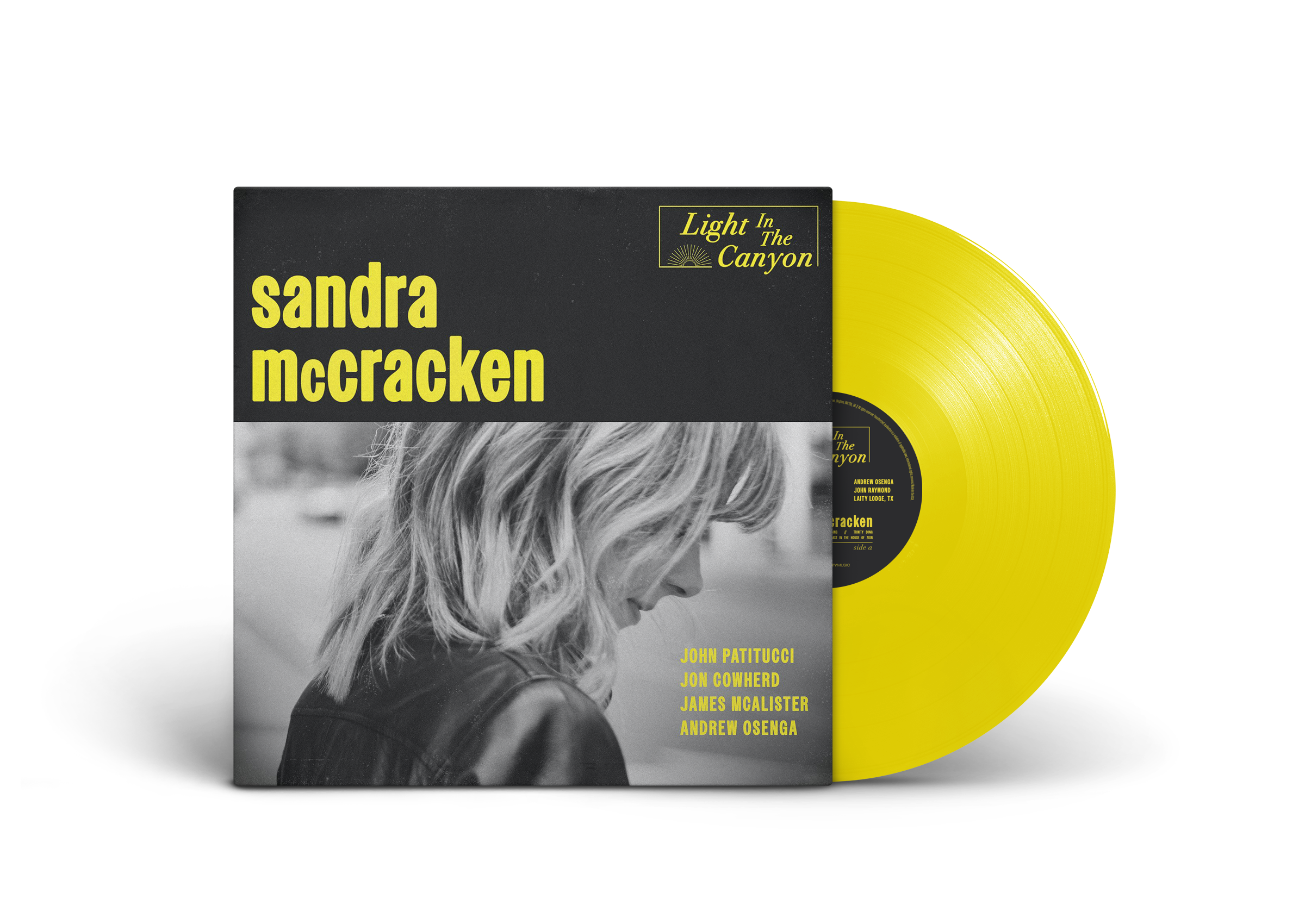 Light-in-the-Canyon-Vinyl-Record-PSD-MockUp.png
