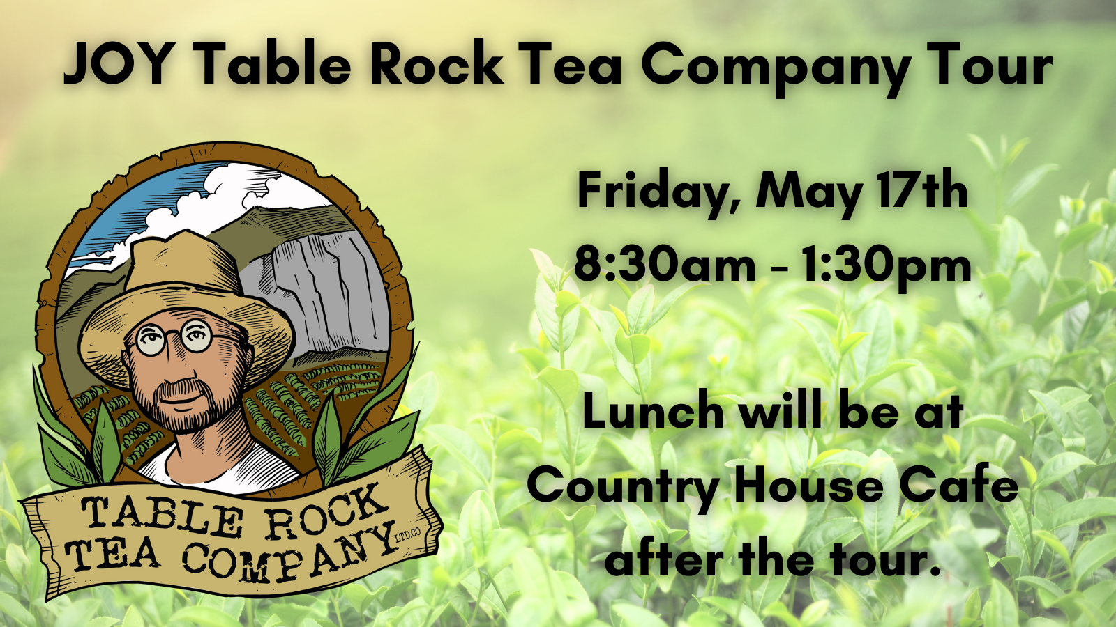 JOY Table Rock Tea Company Tour.png