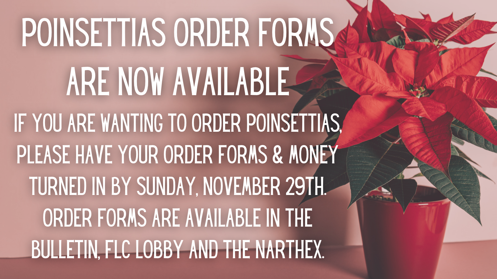 Poinsettia Order Reminder (1).png