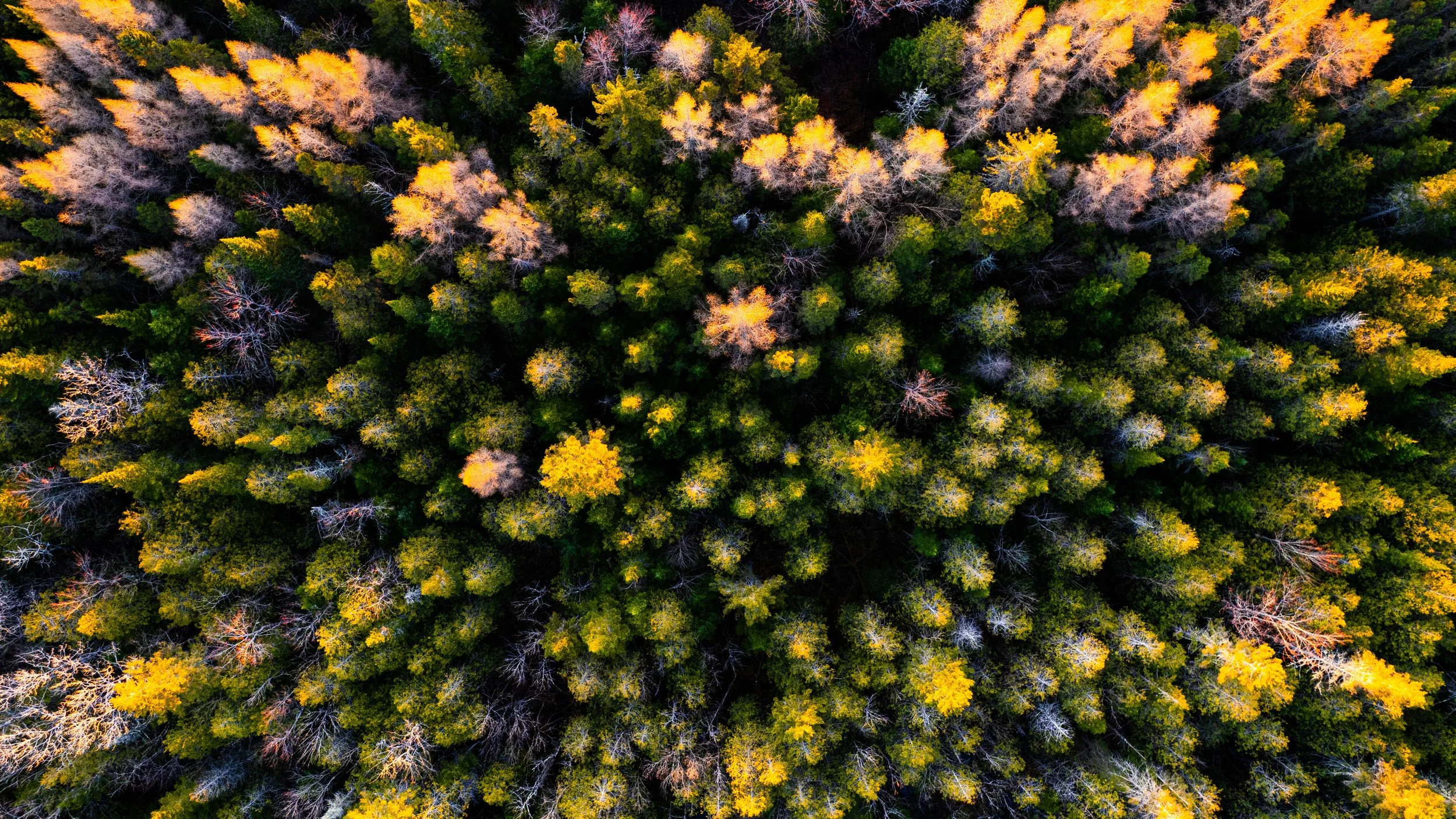 DJI_0032.jpg