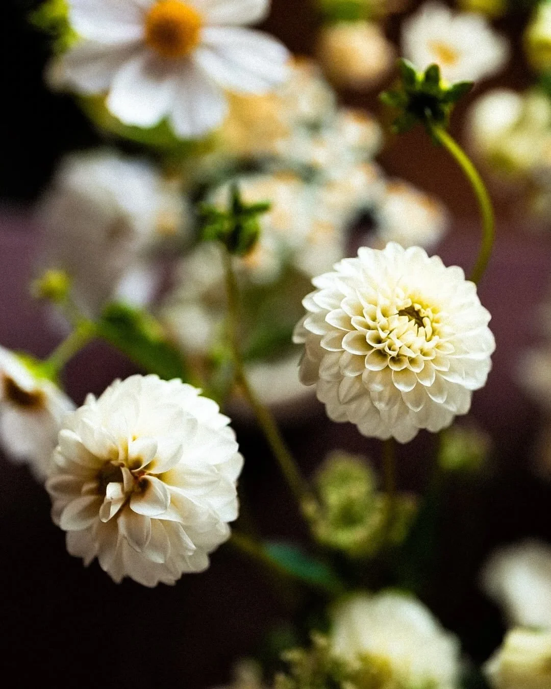 Florals shape the atmosphere of a wedding in the most subtle way. 
They bring depth, texture, and harmony, connecting each element: from the bouquet in your hands to the spaces where stories unfold.
Here are some of our favorite floral artists and