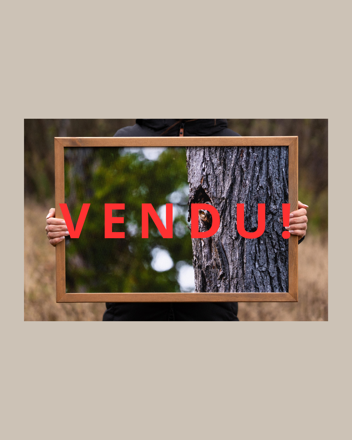 Impression sur toile "Nyctale"