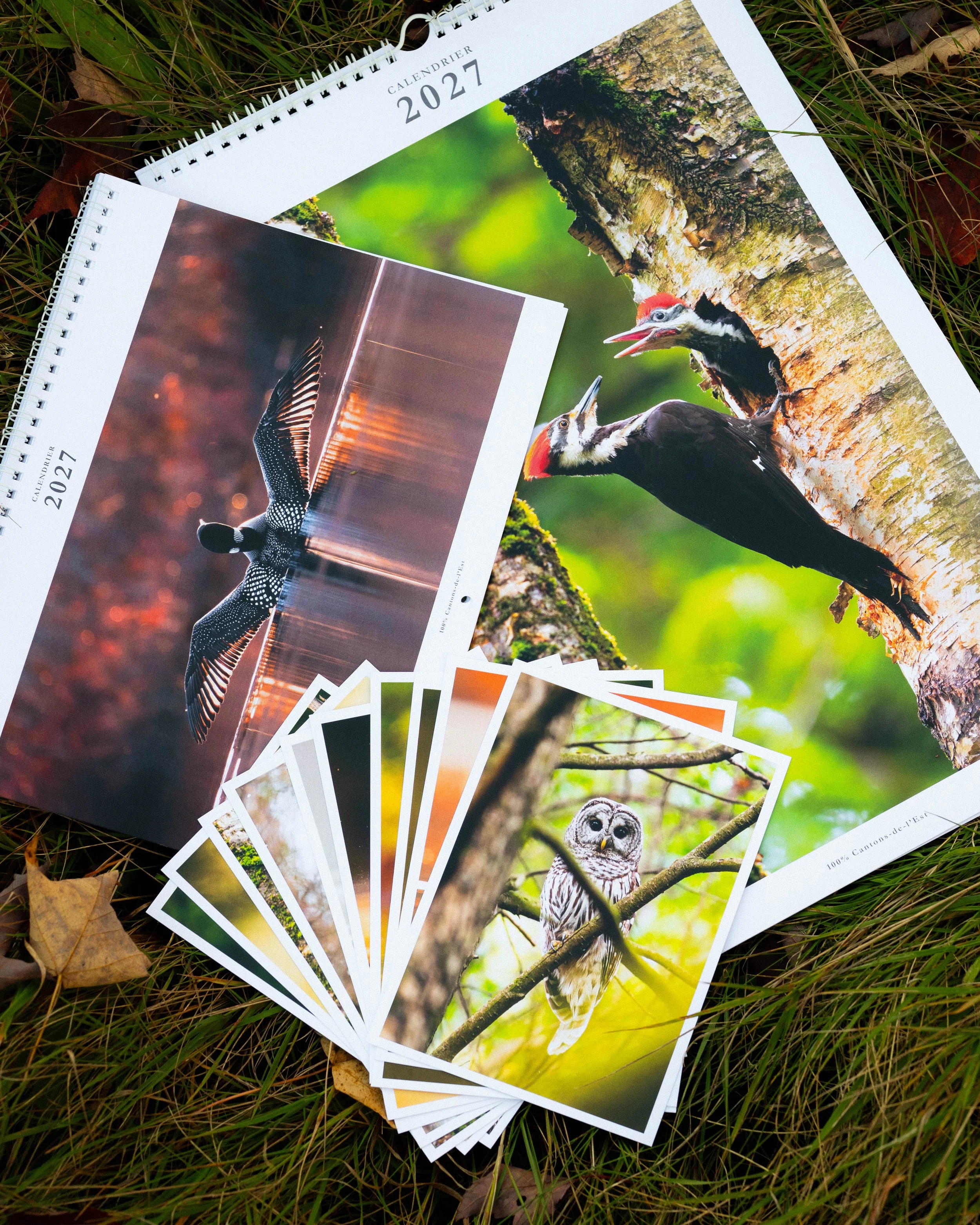 Ensemble Cartes & Calendriers