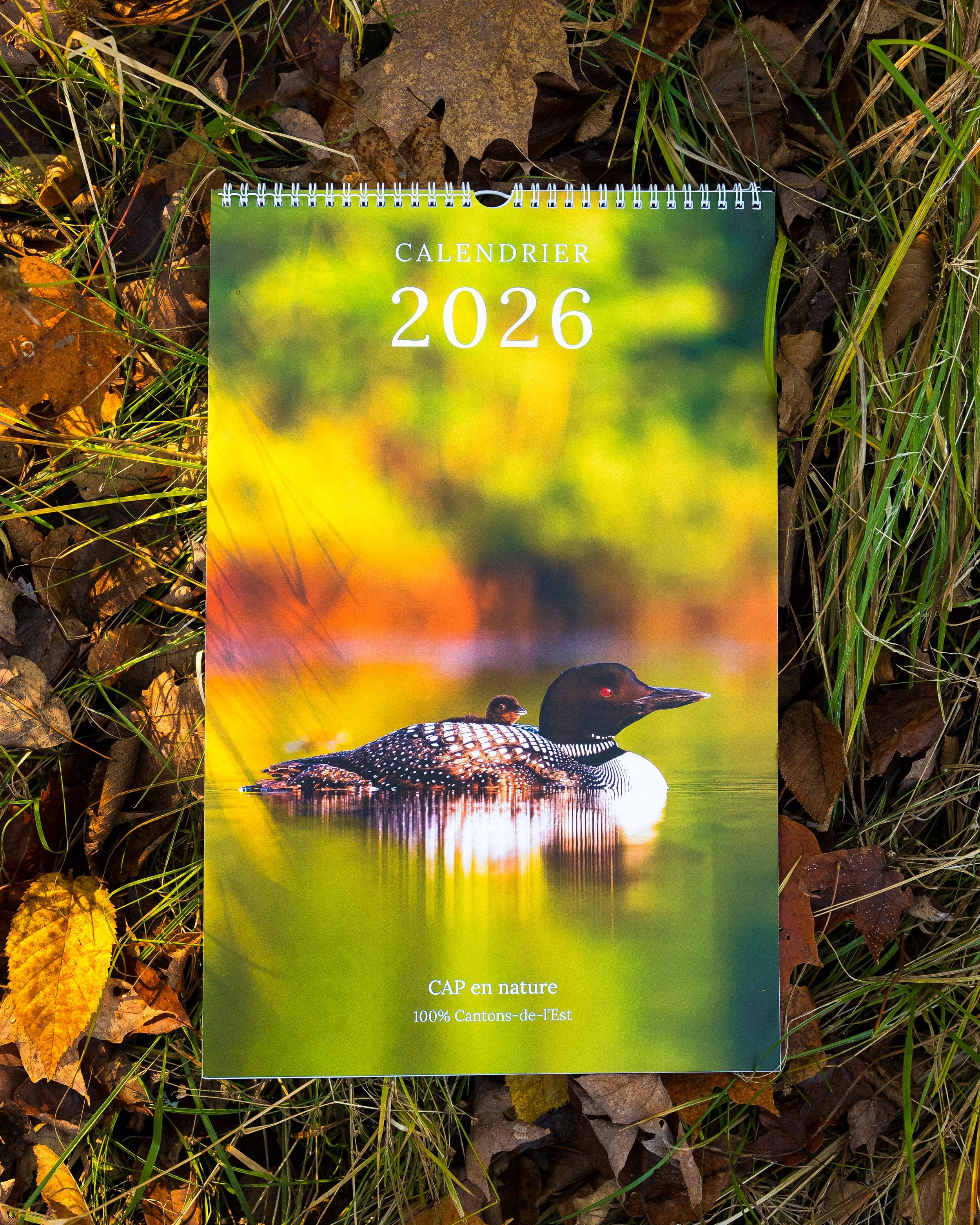 DSC02037.jpg (copie)