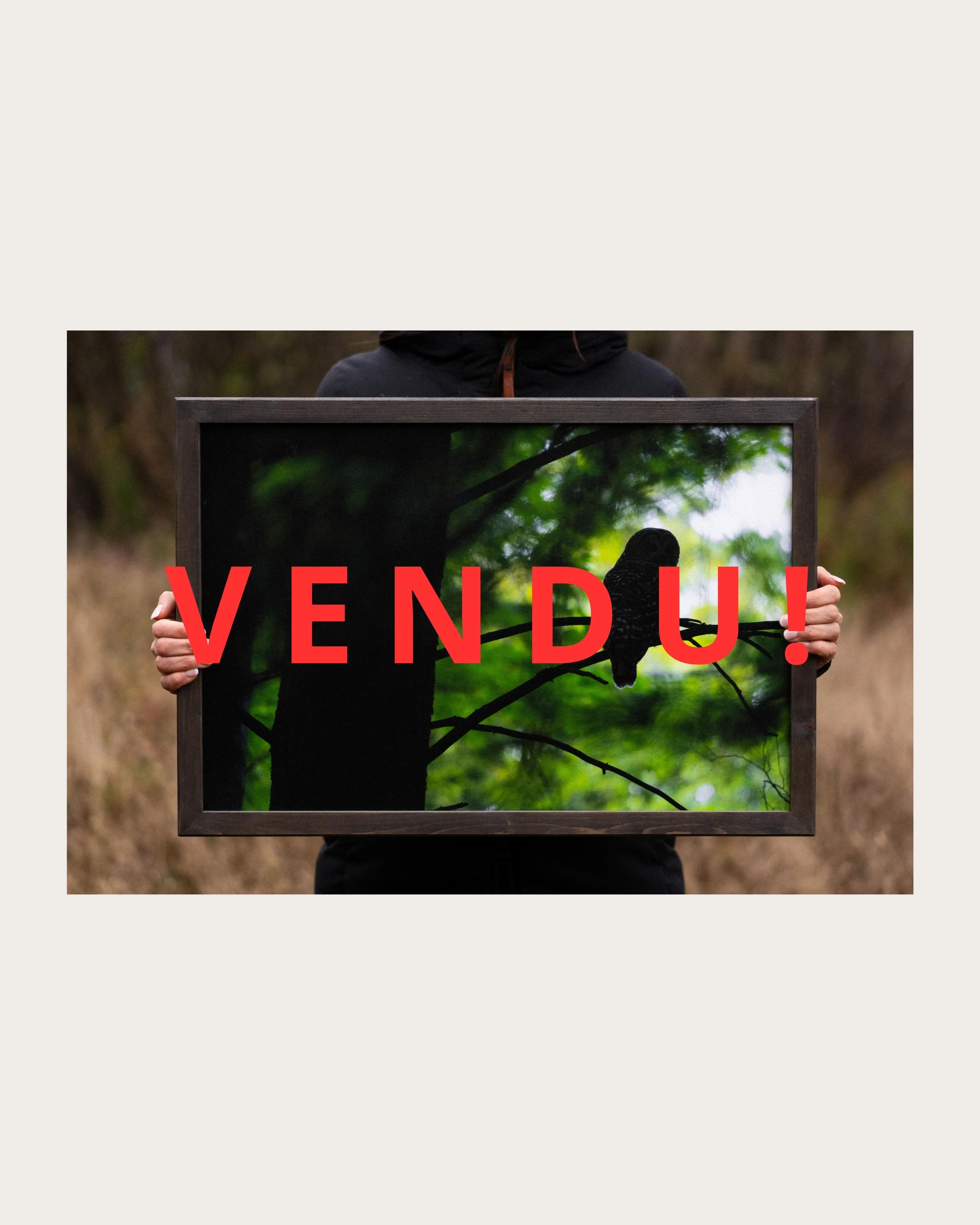 VENDU!.jpg