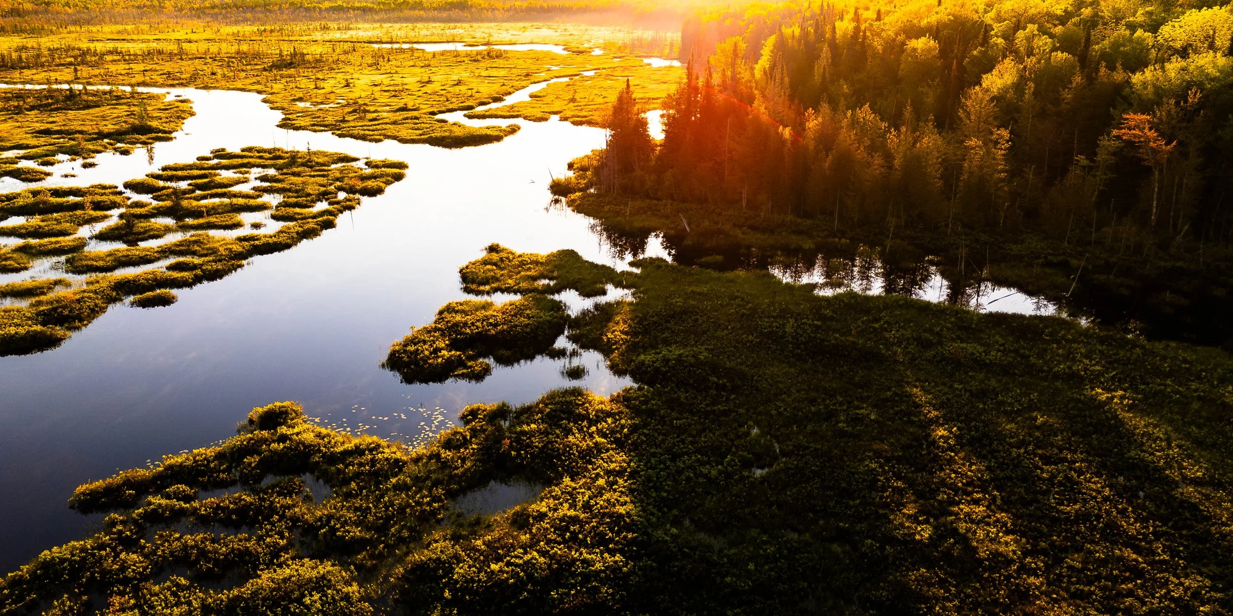 DJI_20250527055327_0287_D-Enhanced-NR.jpg