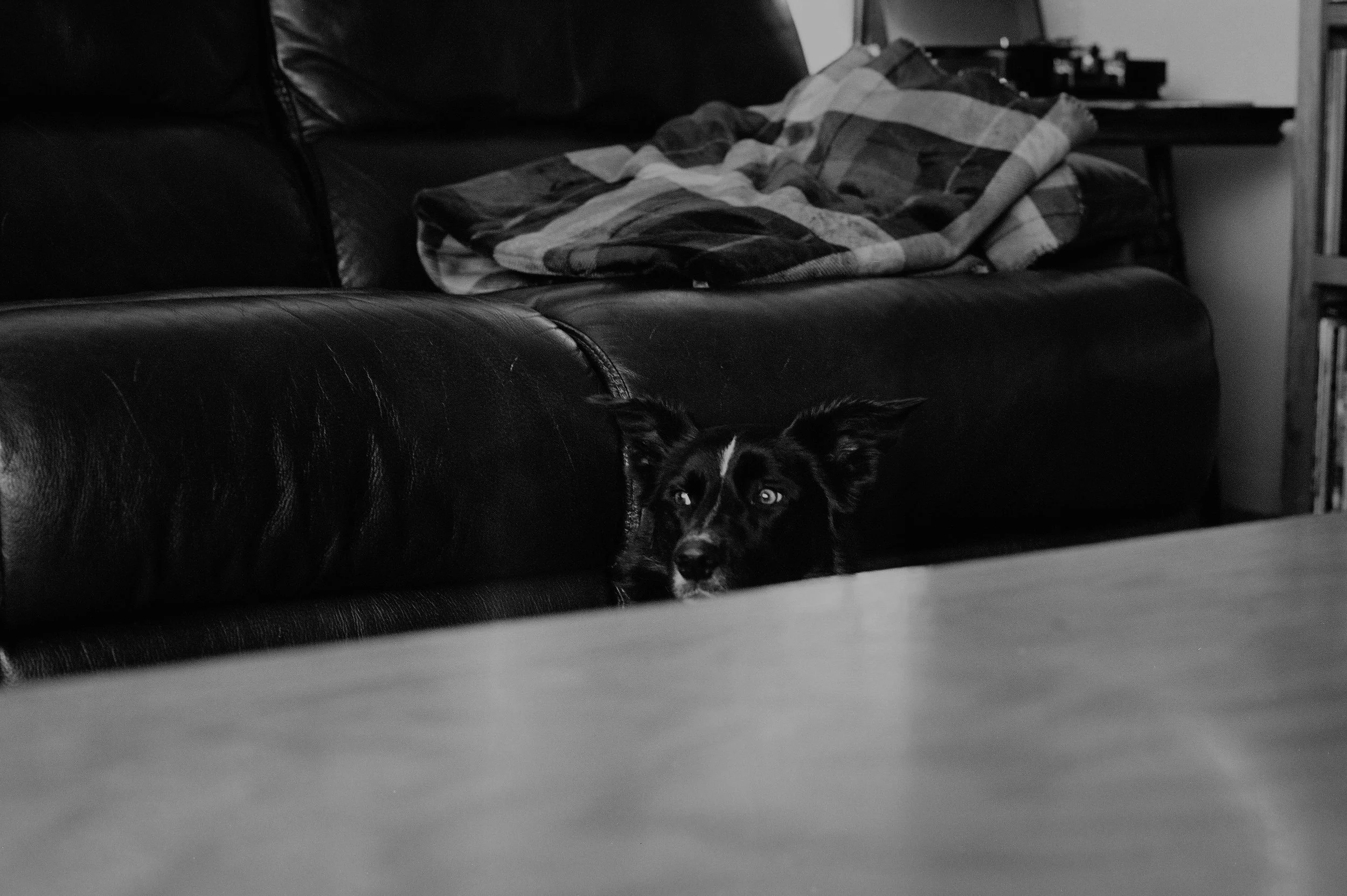 Ivy Lou's peekaboo.