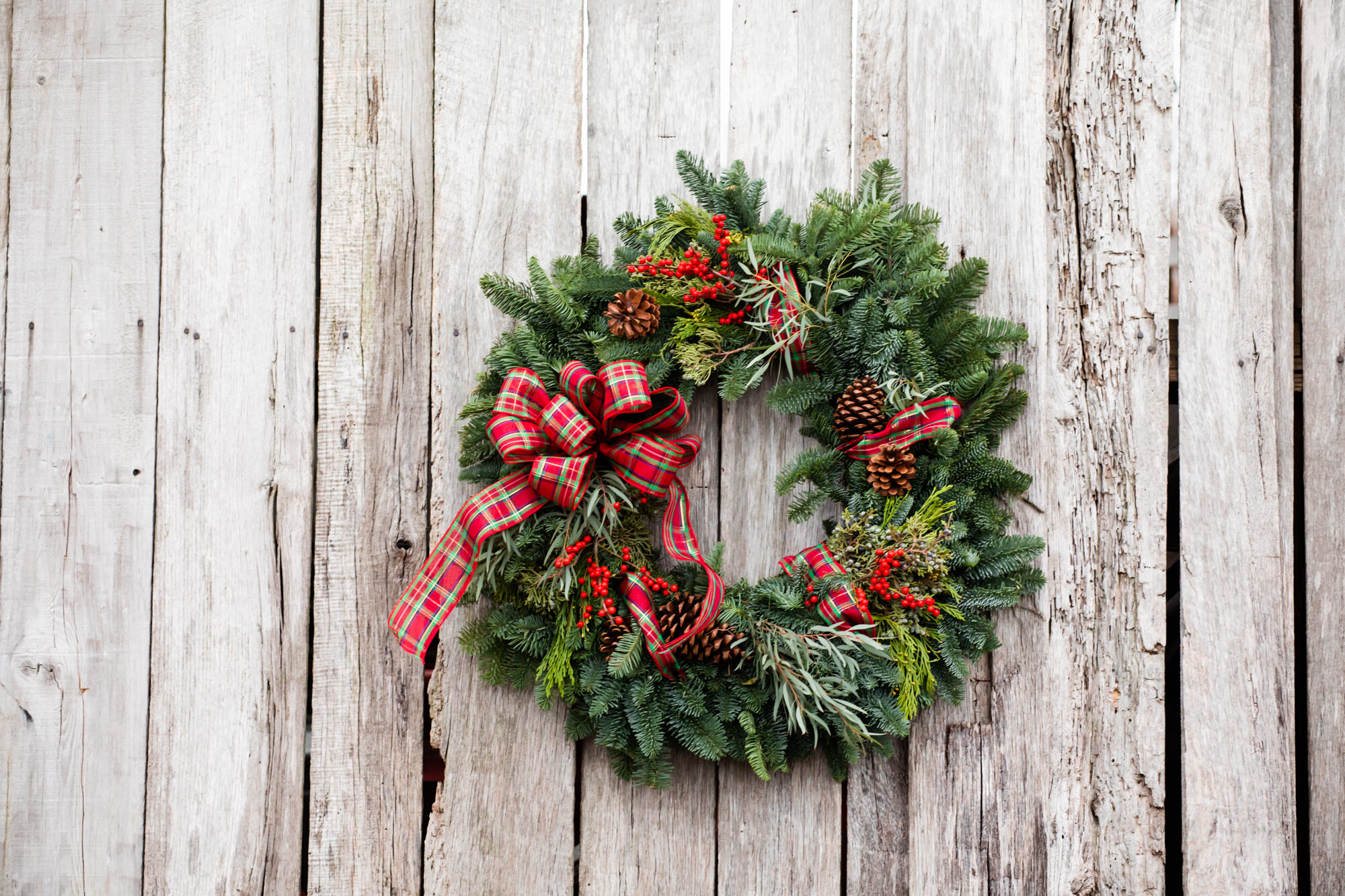 Holiday2020-92.JPG