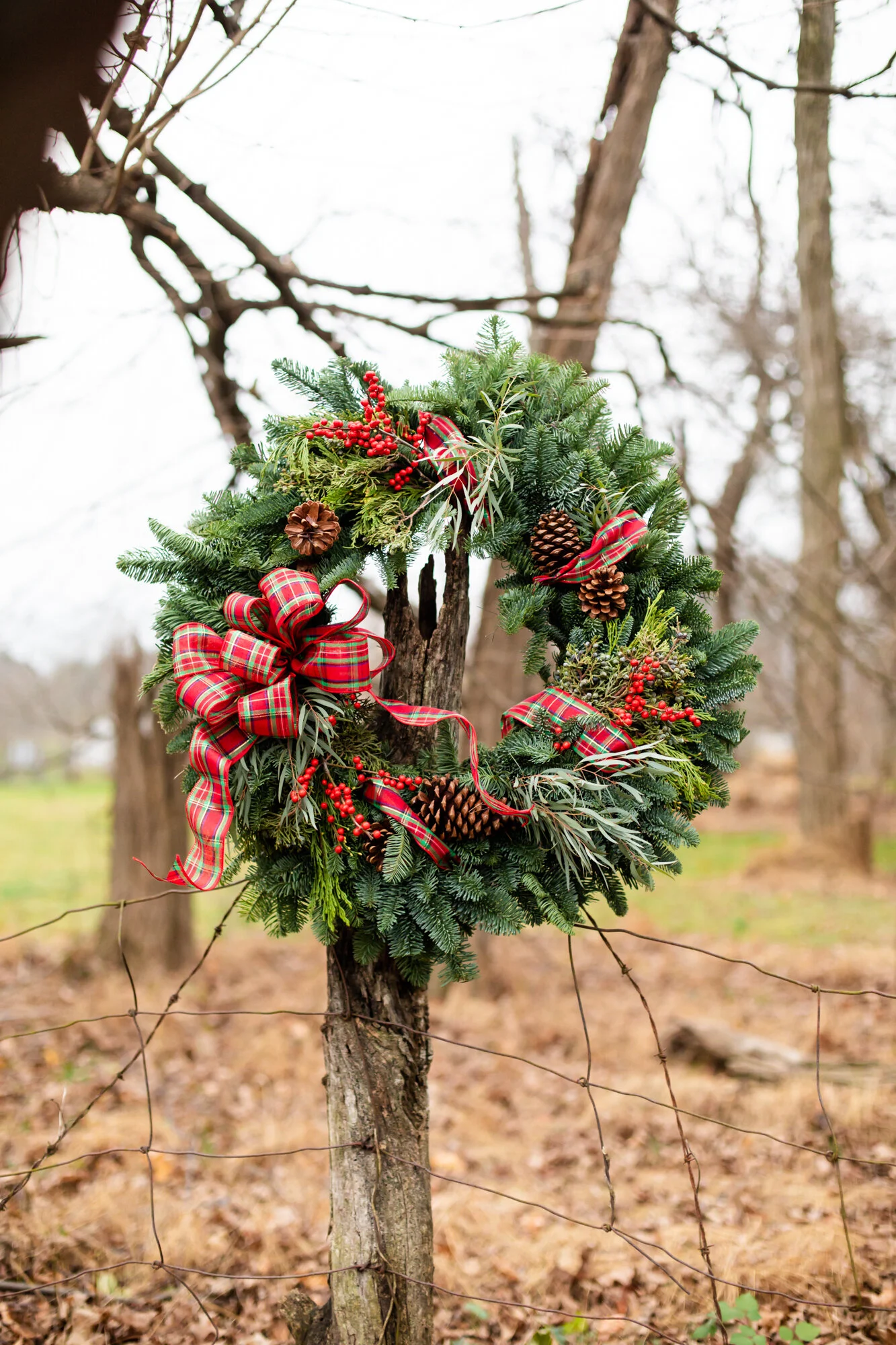 Holiday2020-116.JPG