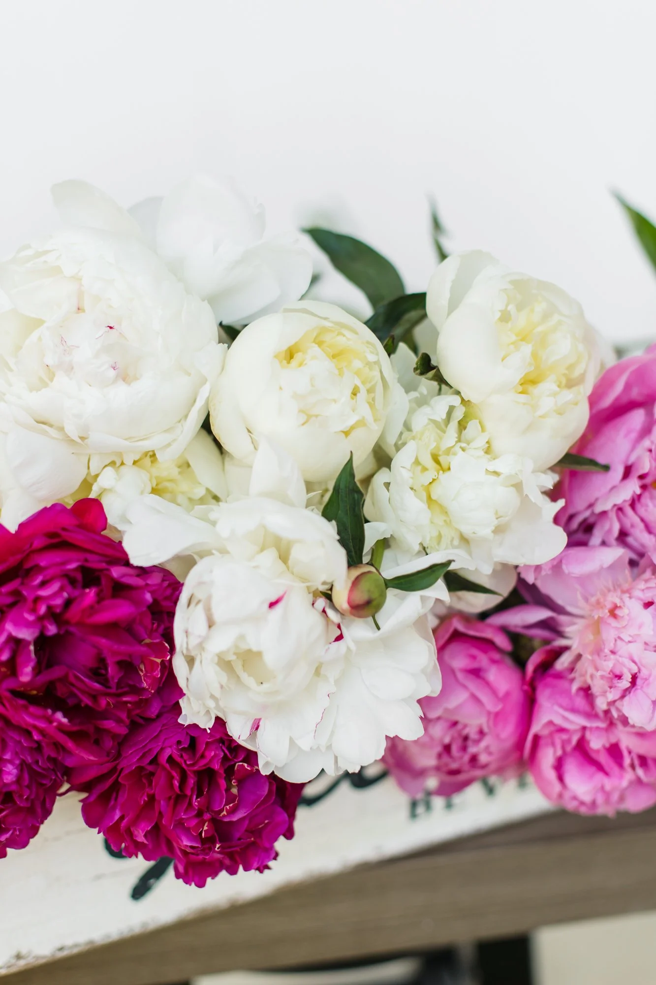 peonies-june30-29.JPG