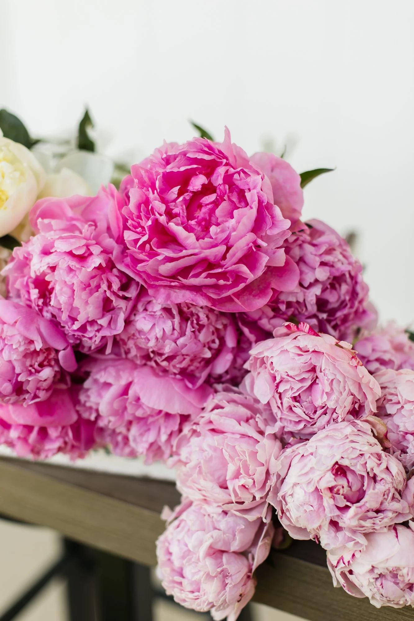 peonies-june30-34.JPG