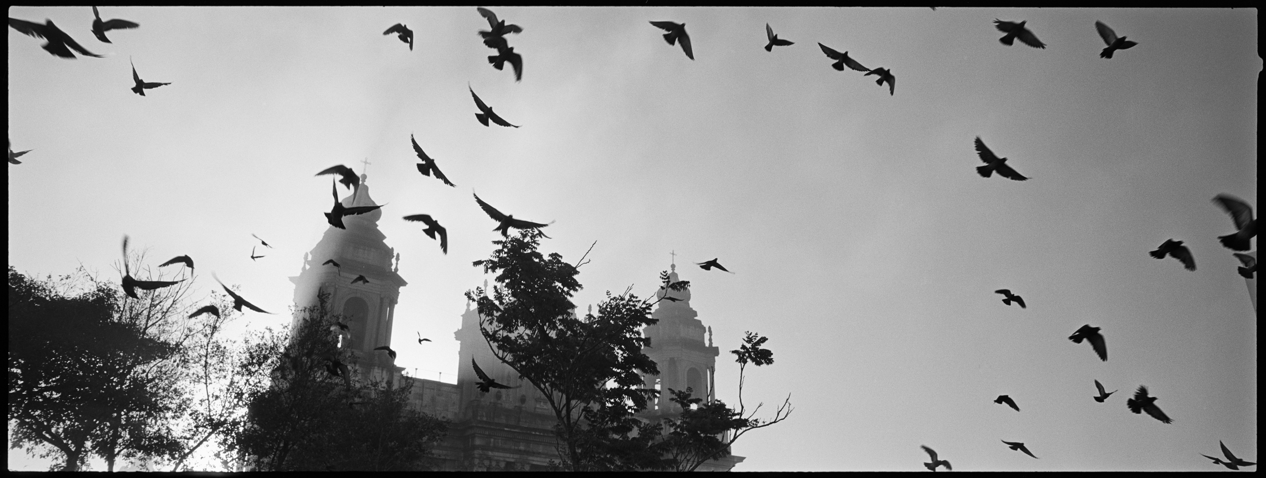 The Darkness After the Dawn