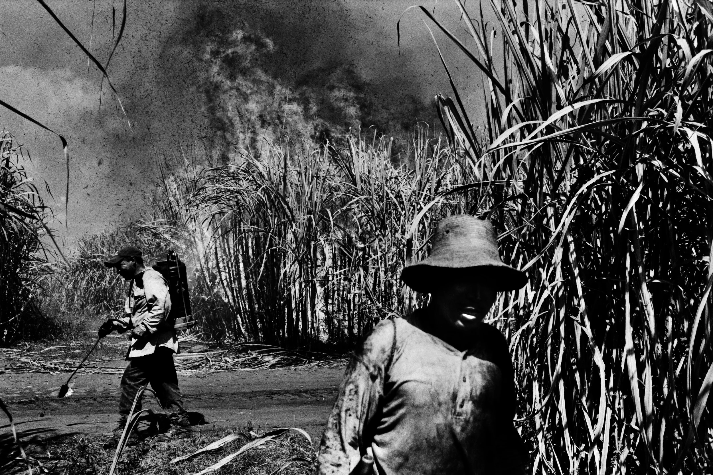  Burning the fields during the sugar cane harvest. 