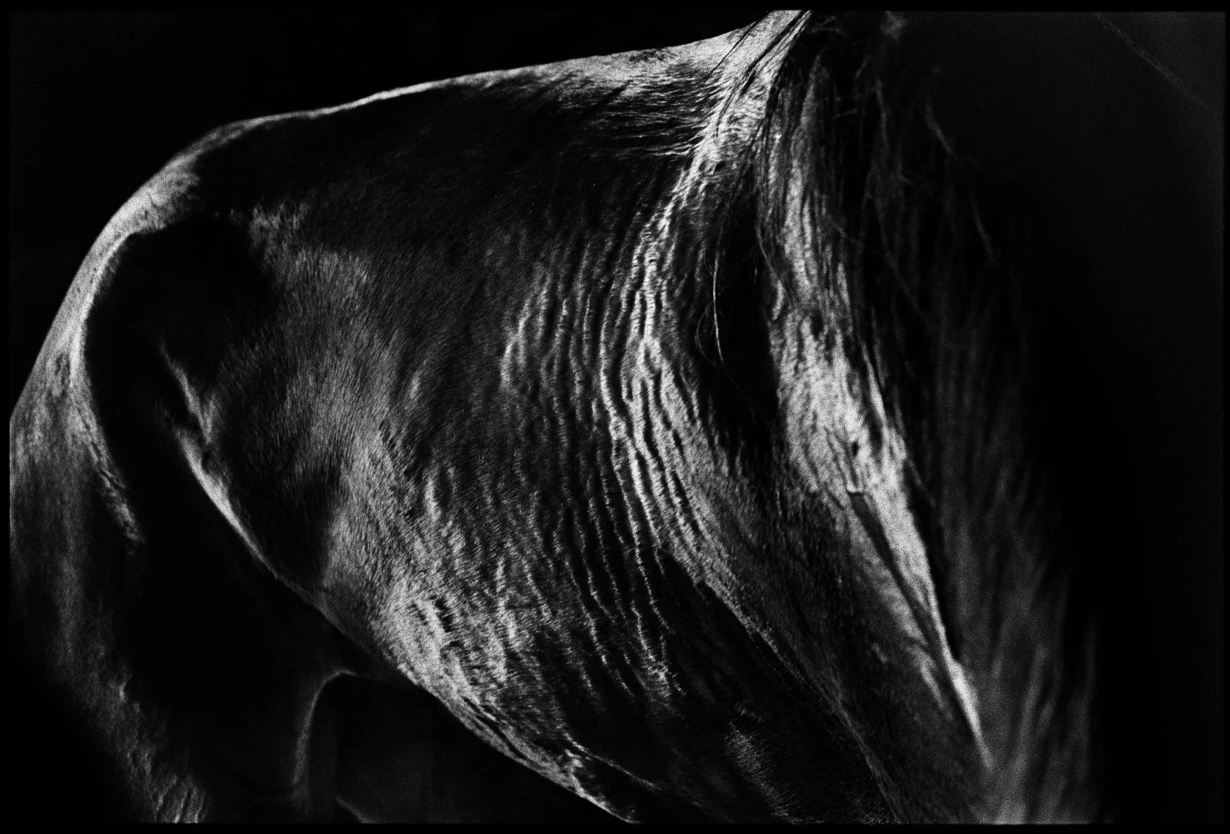  The power and the grace.&nbsp; 