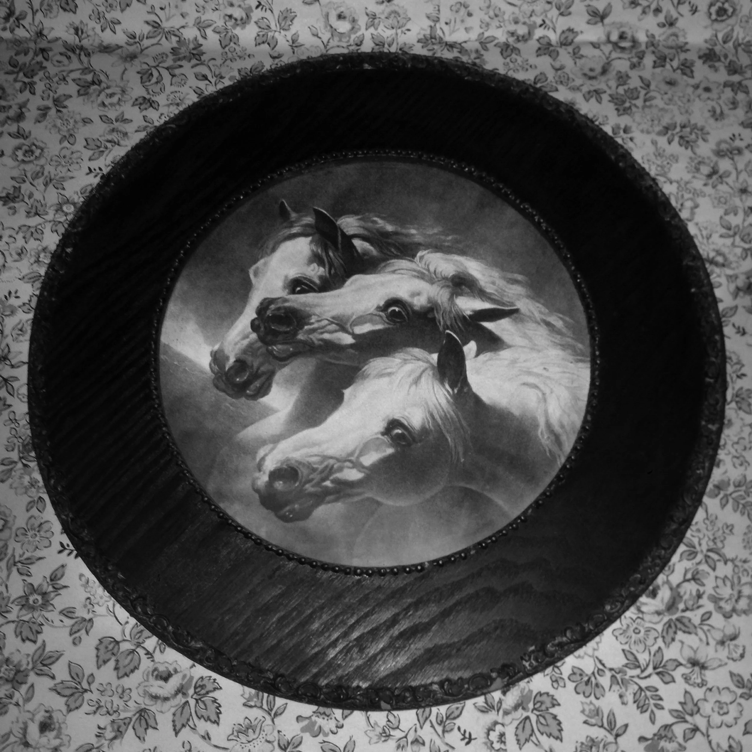  Pharoah's horses on his bedroom wall.&nbsp; 