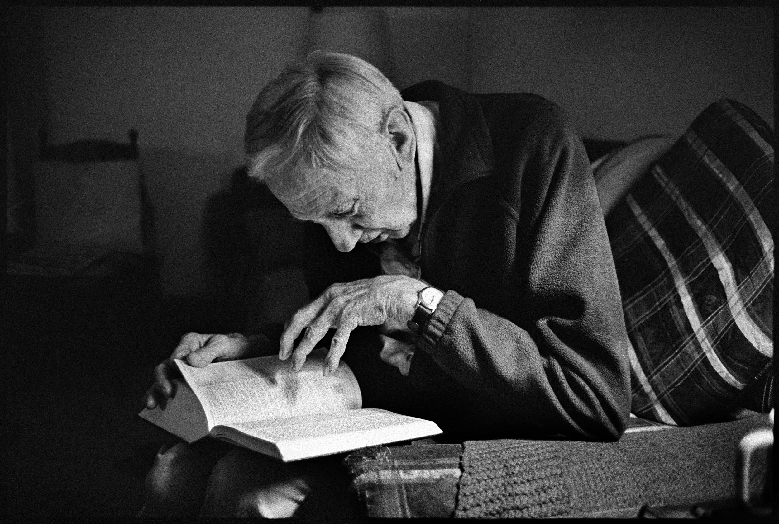  Searching for a pedigree.&nbsp; 