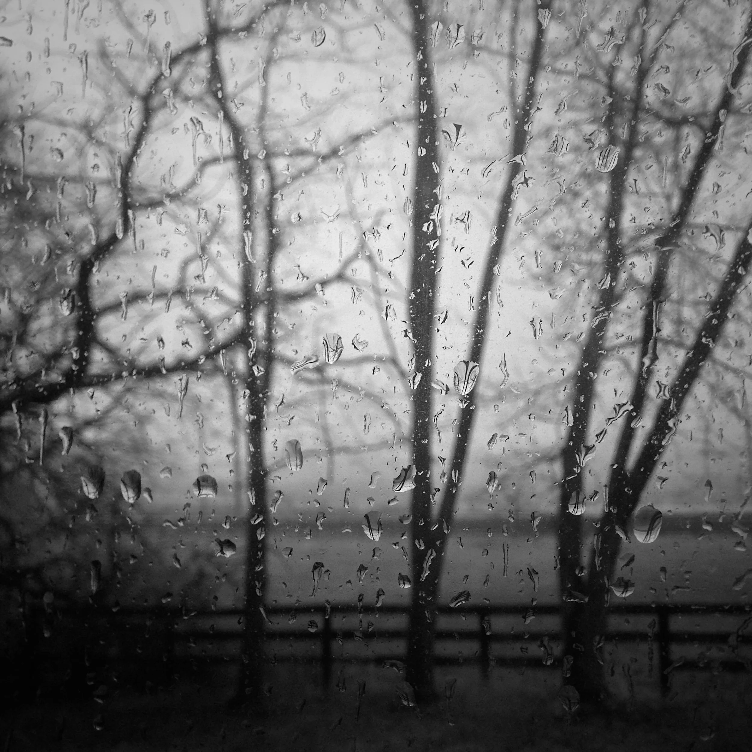  Rain in the front paddock.&nbsp; 