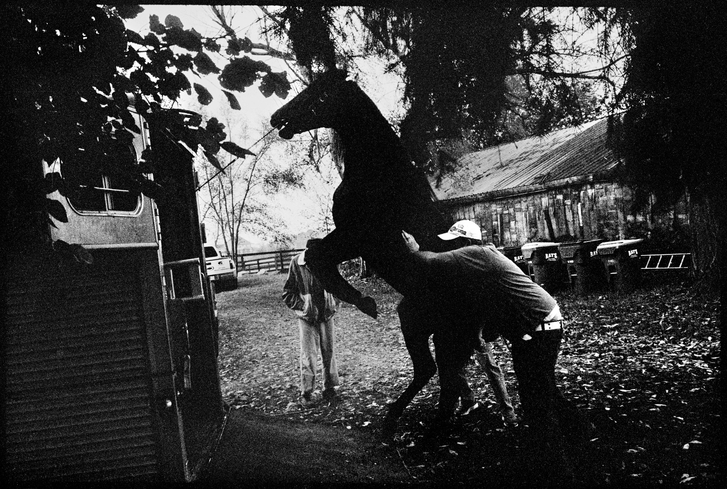  Trying to load Moment. 