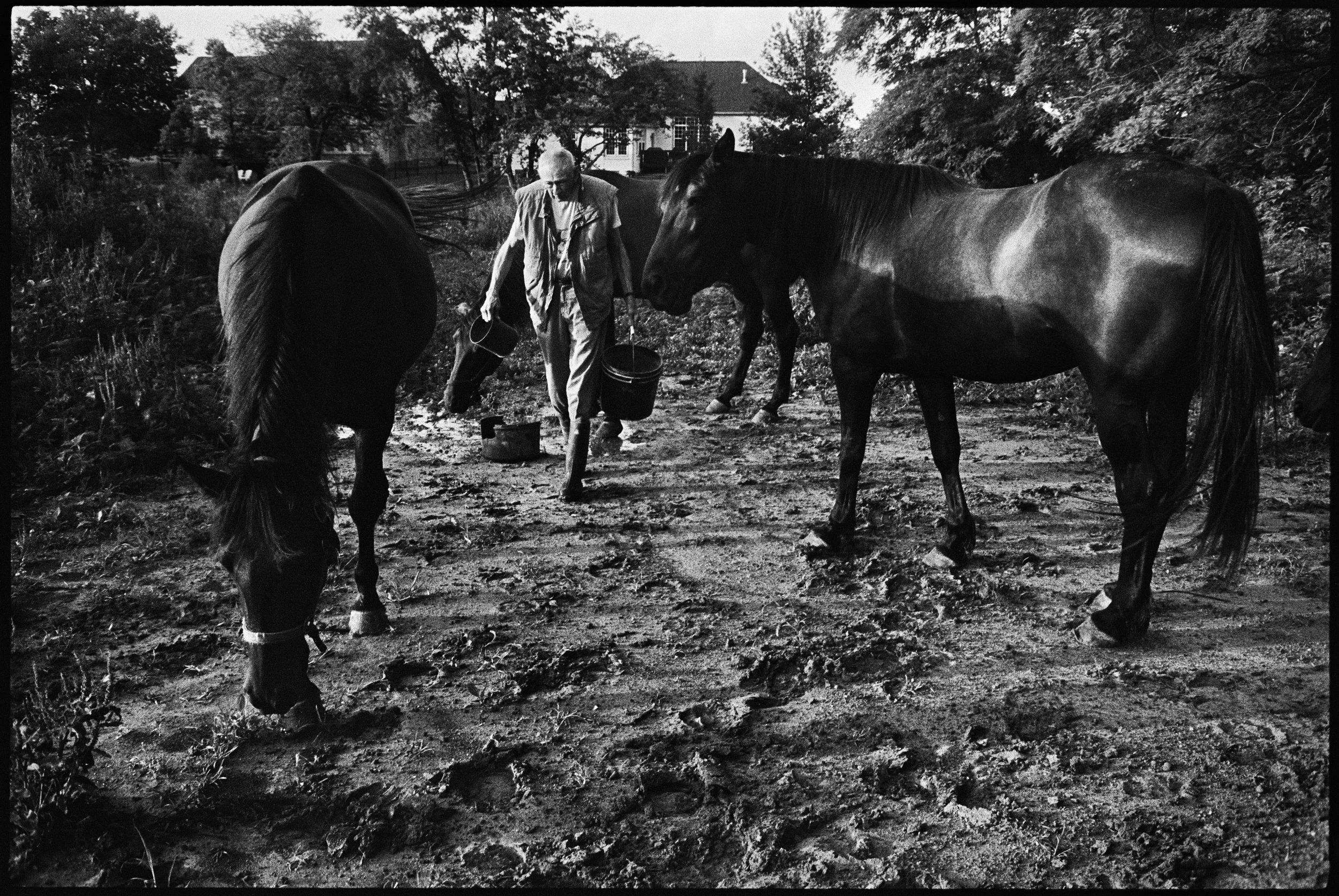  Afternoon feed.&nbsp; 