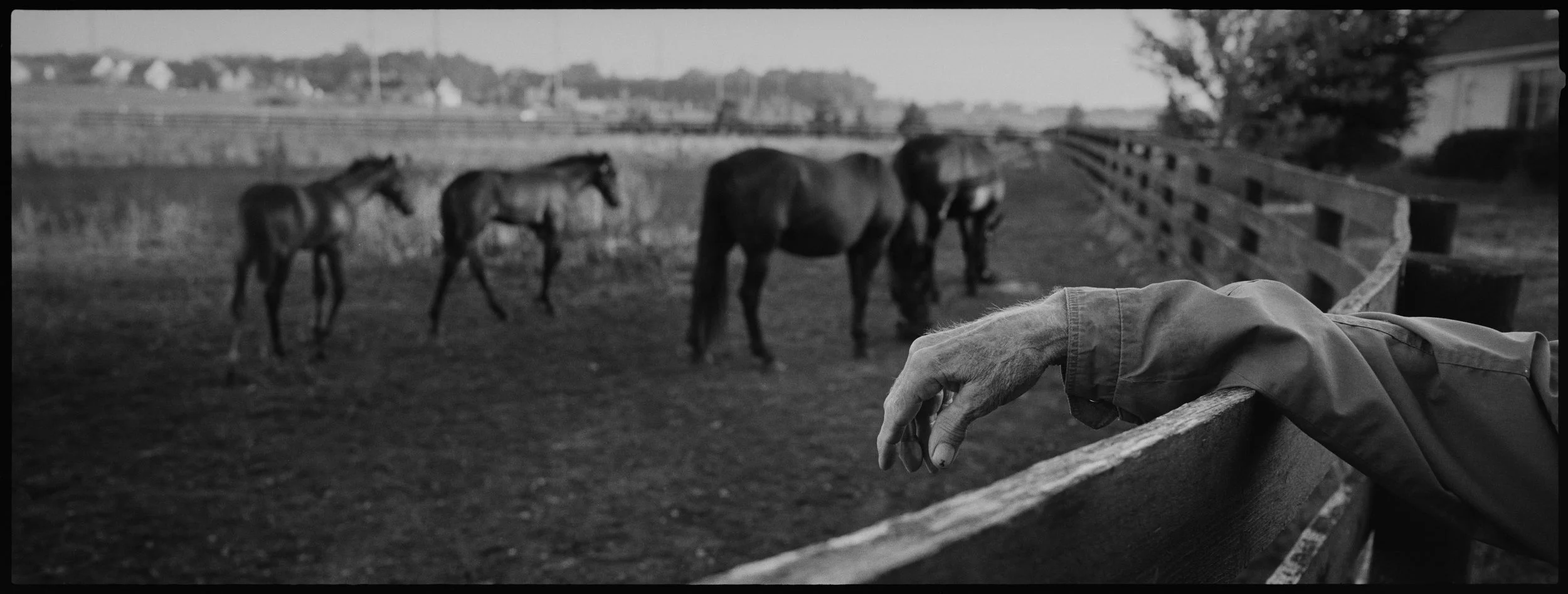  Evening moms and babies. 