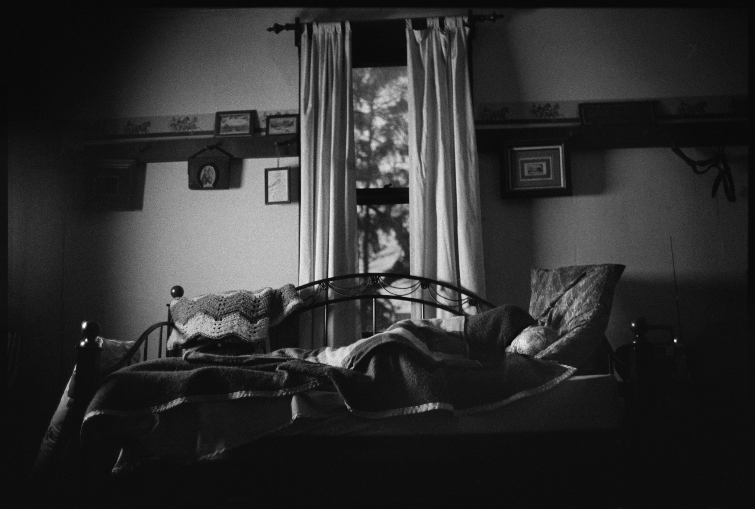  Old buddy, goodnight. 