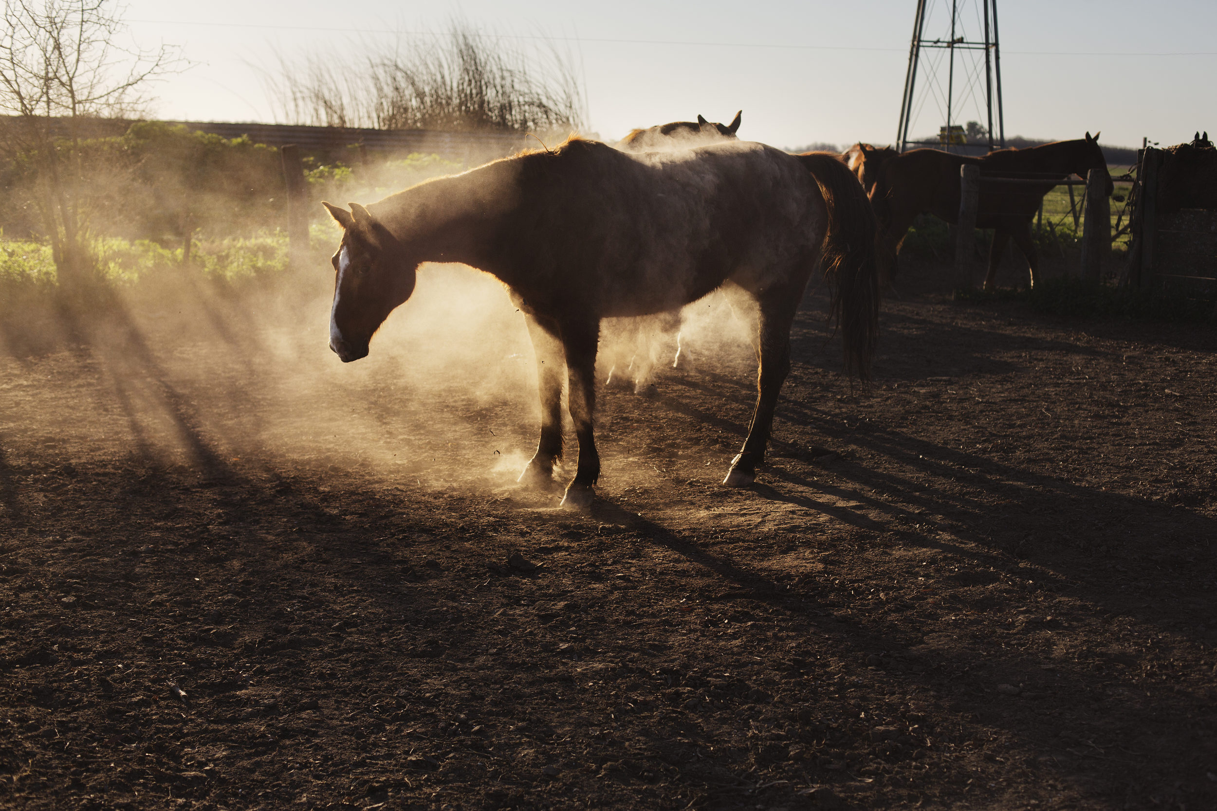  Dusty afternoon.&nbsp; 