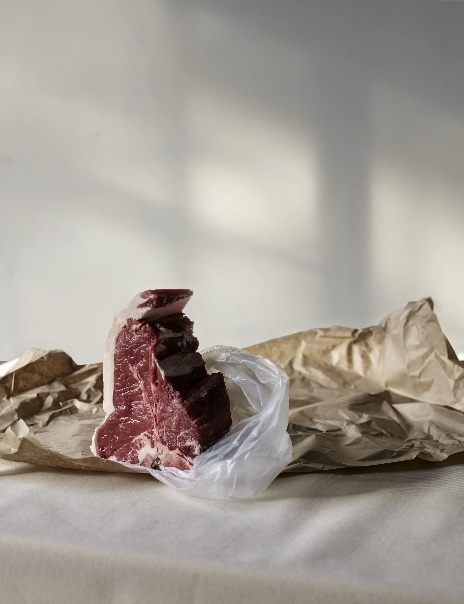 Still Life of a T-bone steak by Garth Oriander Photographer