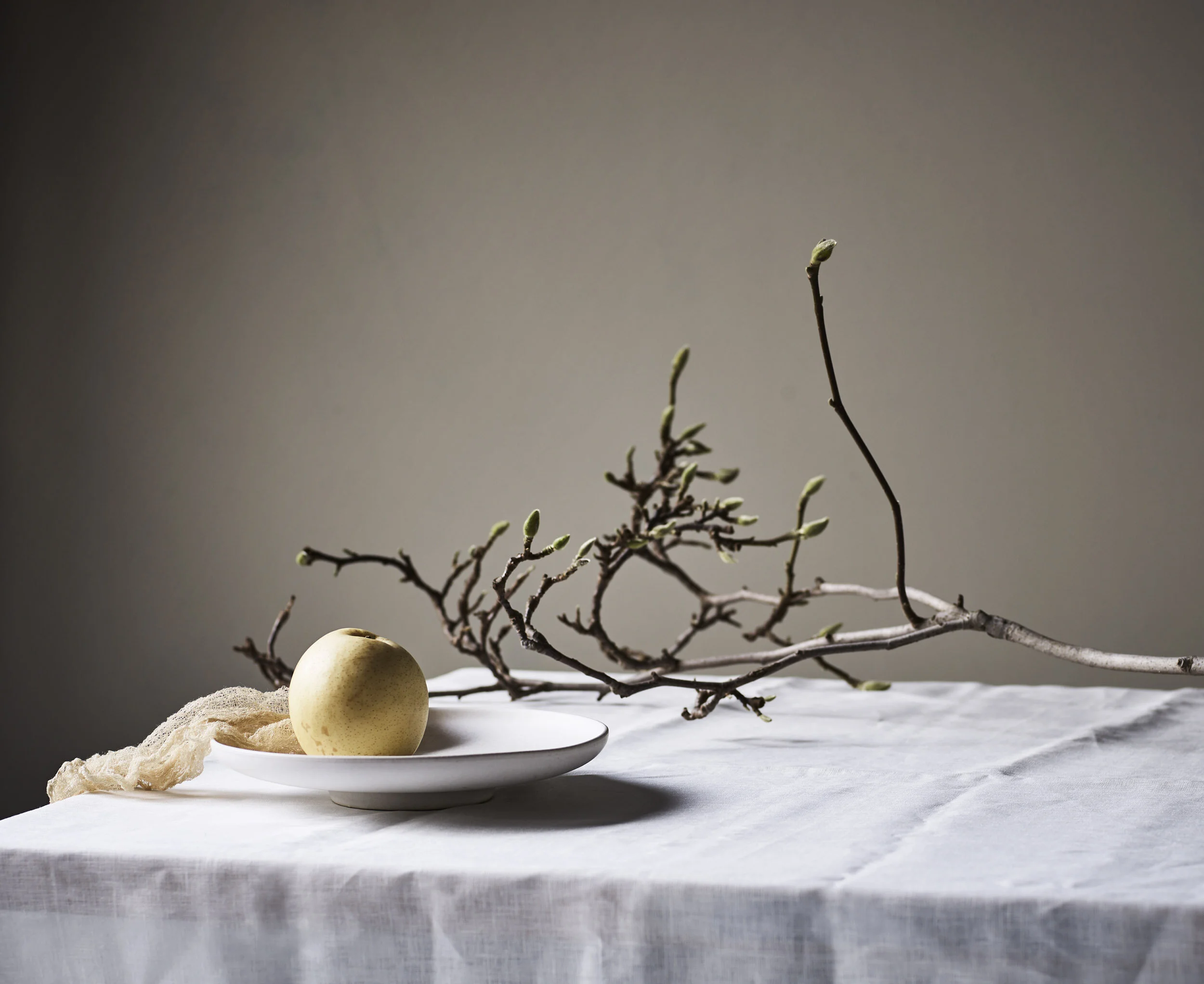 Nashi Pear Still Life by Garth Oriander Photographer