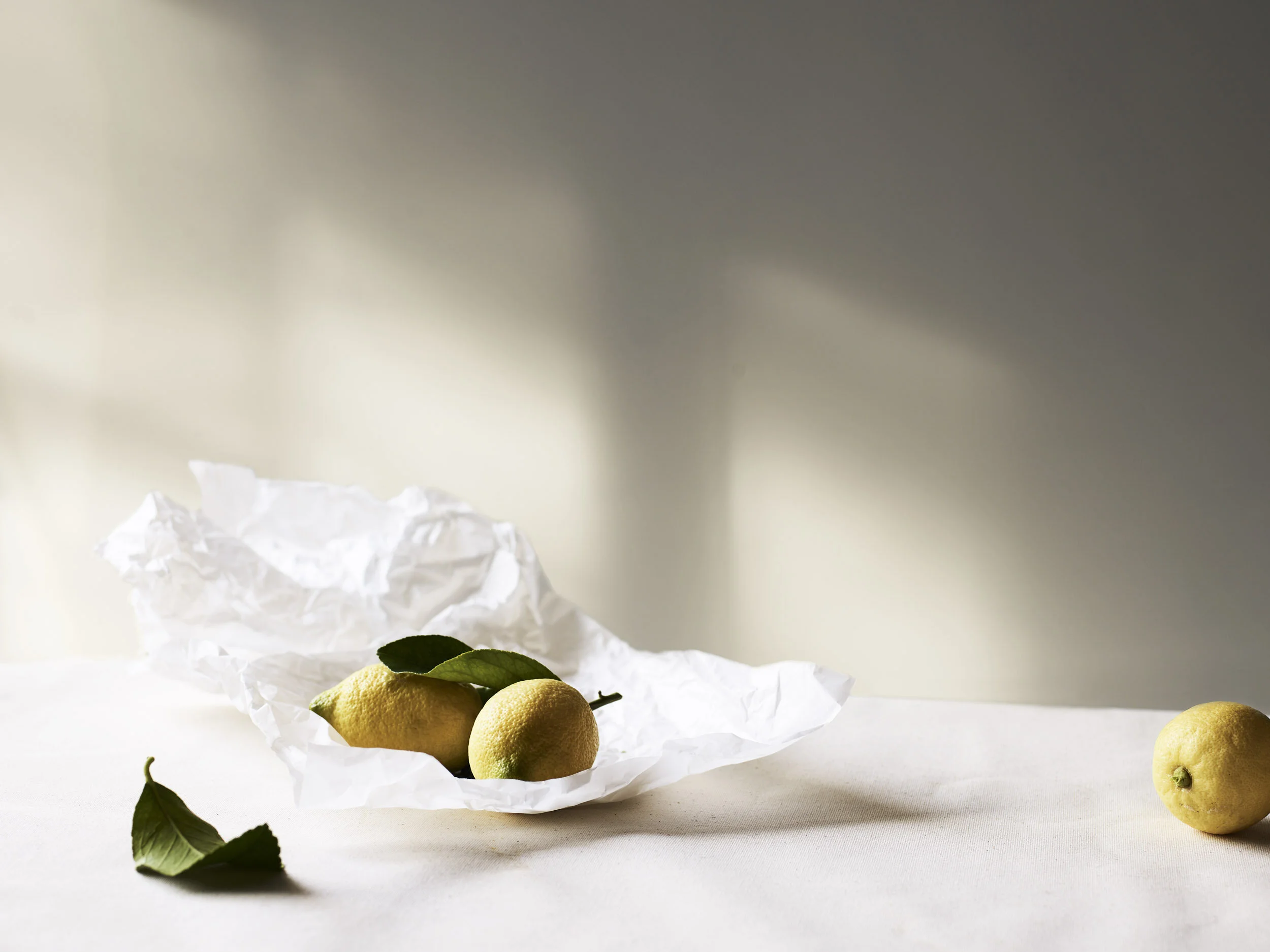 Lemons Still life by Garth Oriander Photographer
