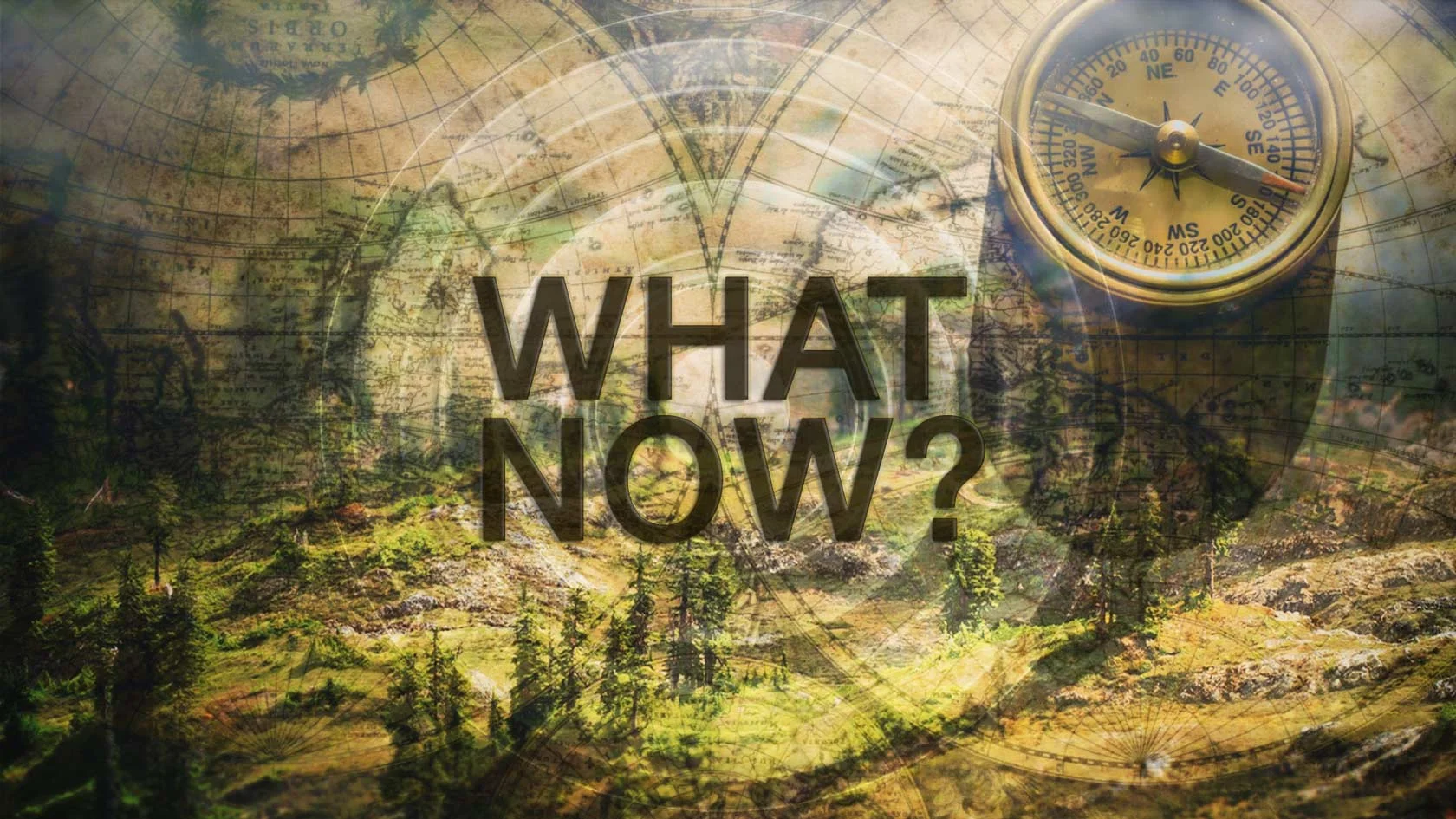 What Now - Part 4