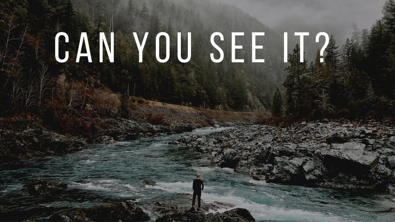Can You See It?