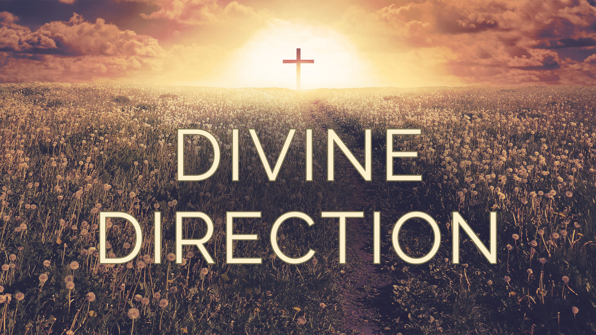 Divine Direction: The Trap