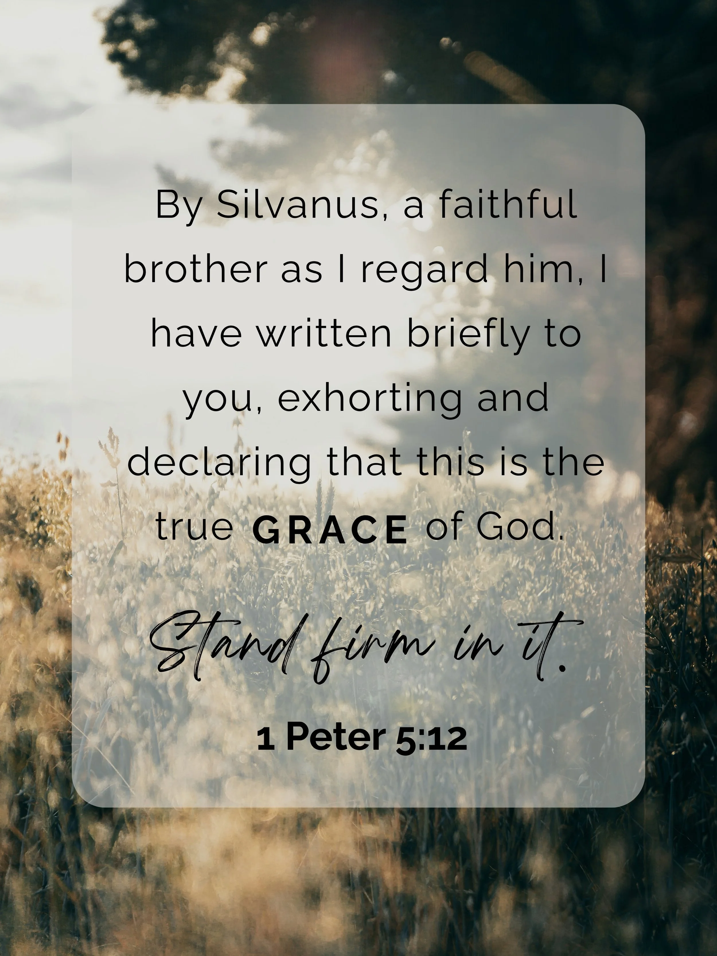 This is the verse our whole sermon series is built around. We&rsquo;re thankful for the reminder that even in the midst of chaos in our life, we can stand firm in who God is. He remains faithful and trustworthy even when we are not. Praise God for th