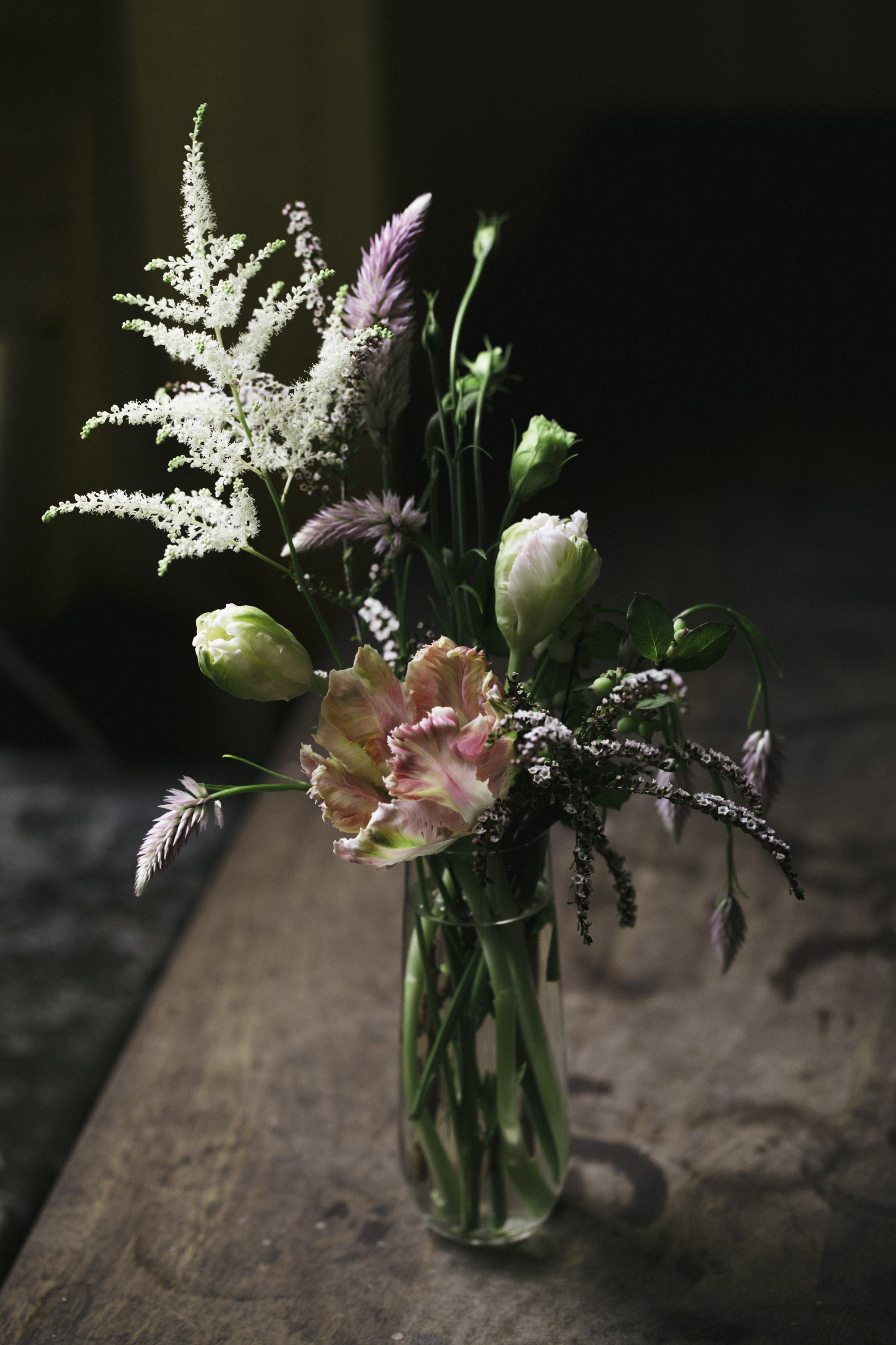 tendril_august-ss-141.jpg