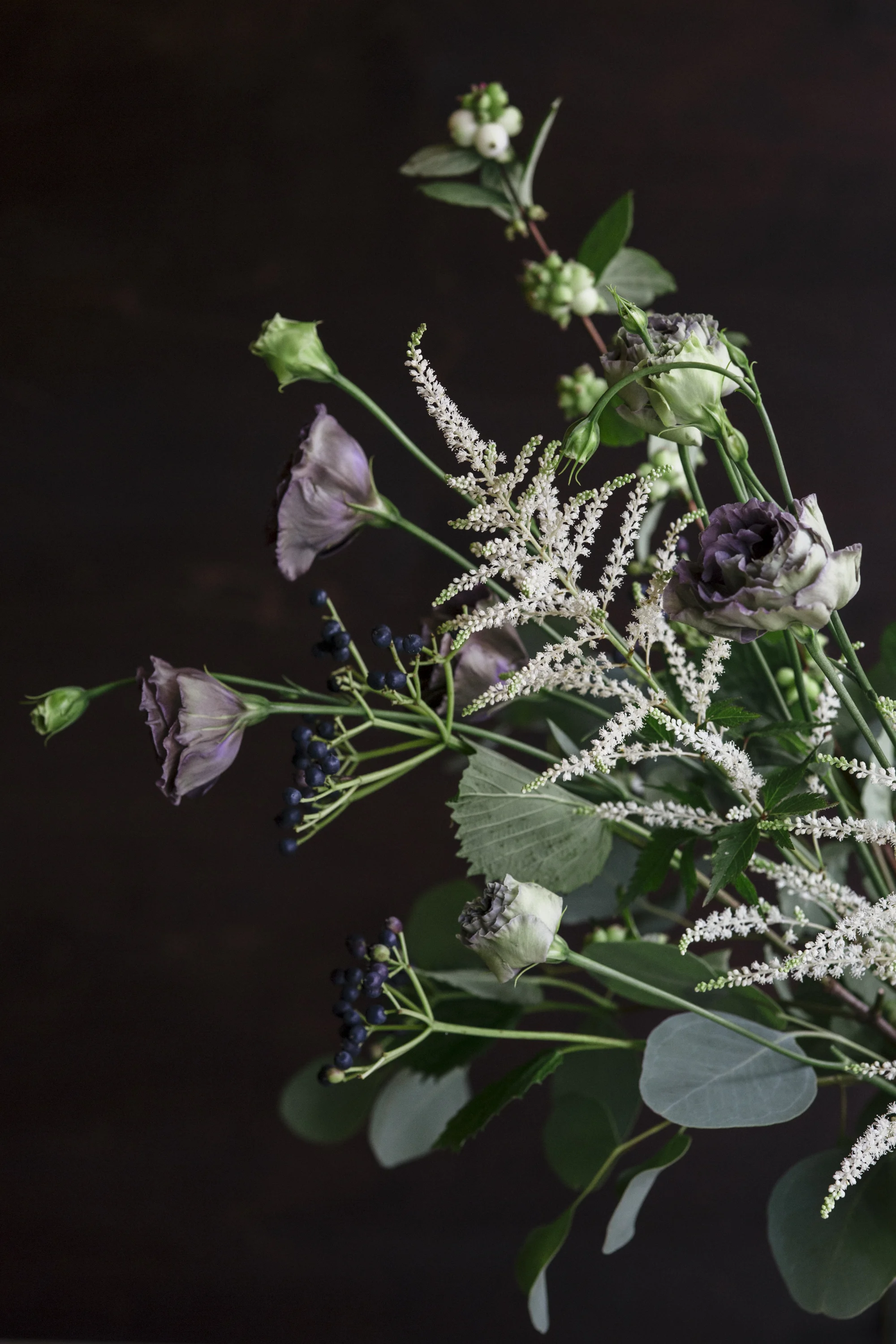 tendril_august-ss-007.jpg