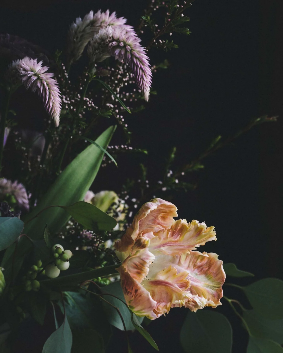 tendril_august-ss-103.jpg