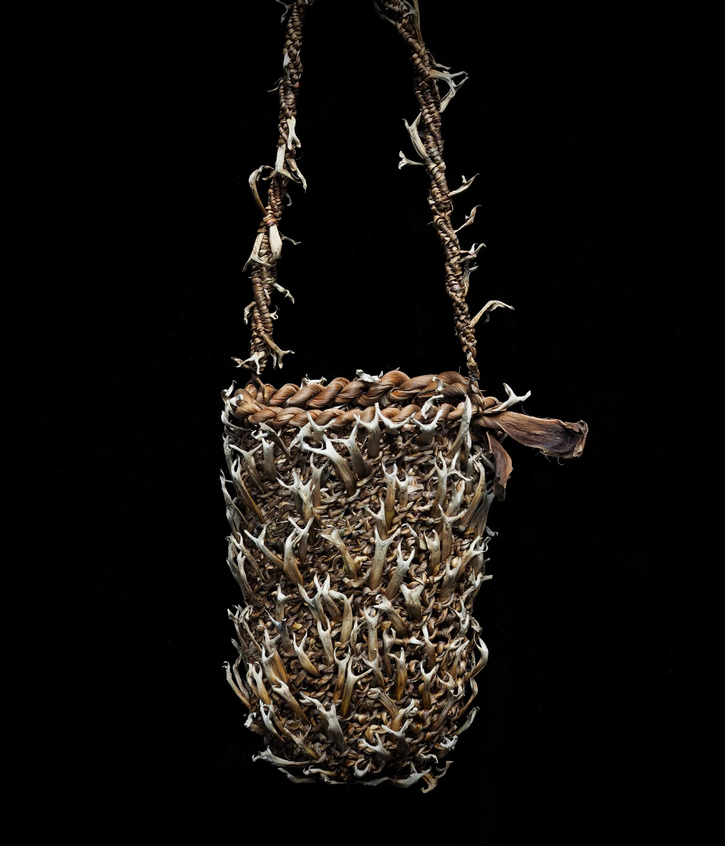 NicoleRobins_dracaenamarginata_itbag2 copy.jpg