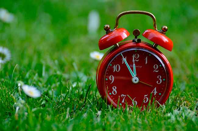 best excuses for avoiding your creative project