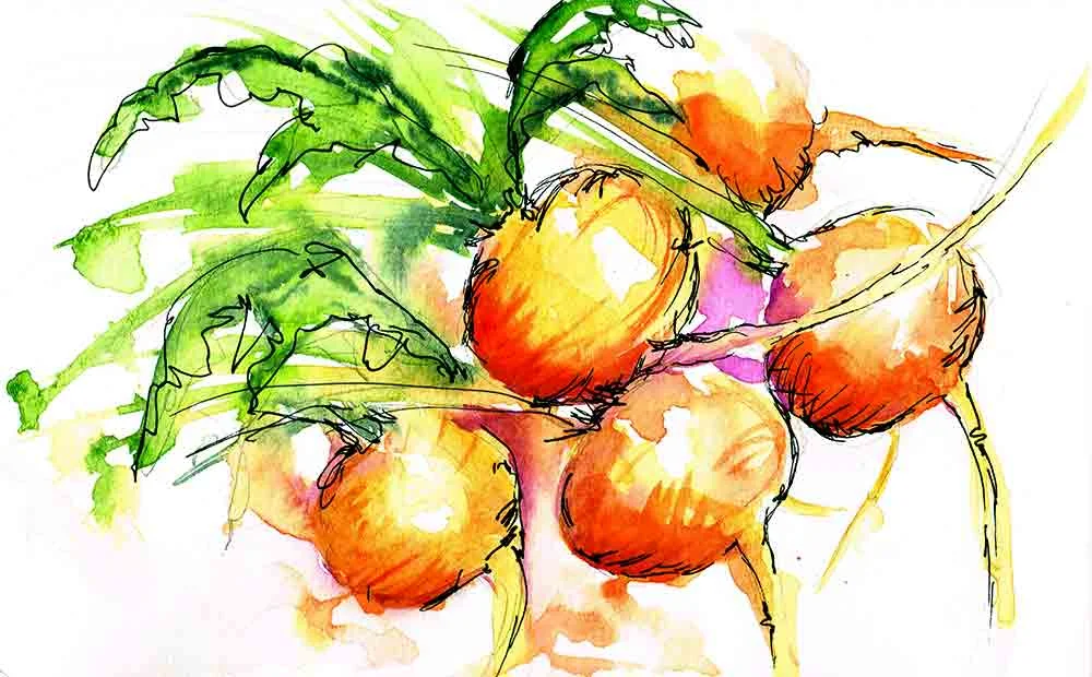 Kitchen-ink-no-13-beets-kw.jpg