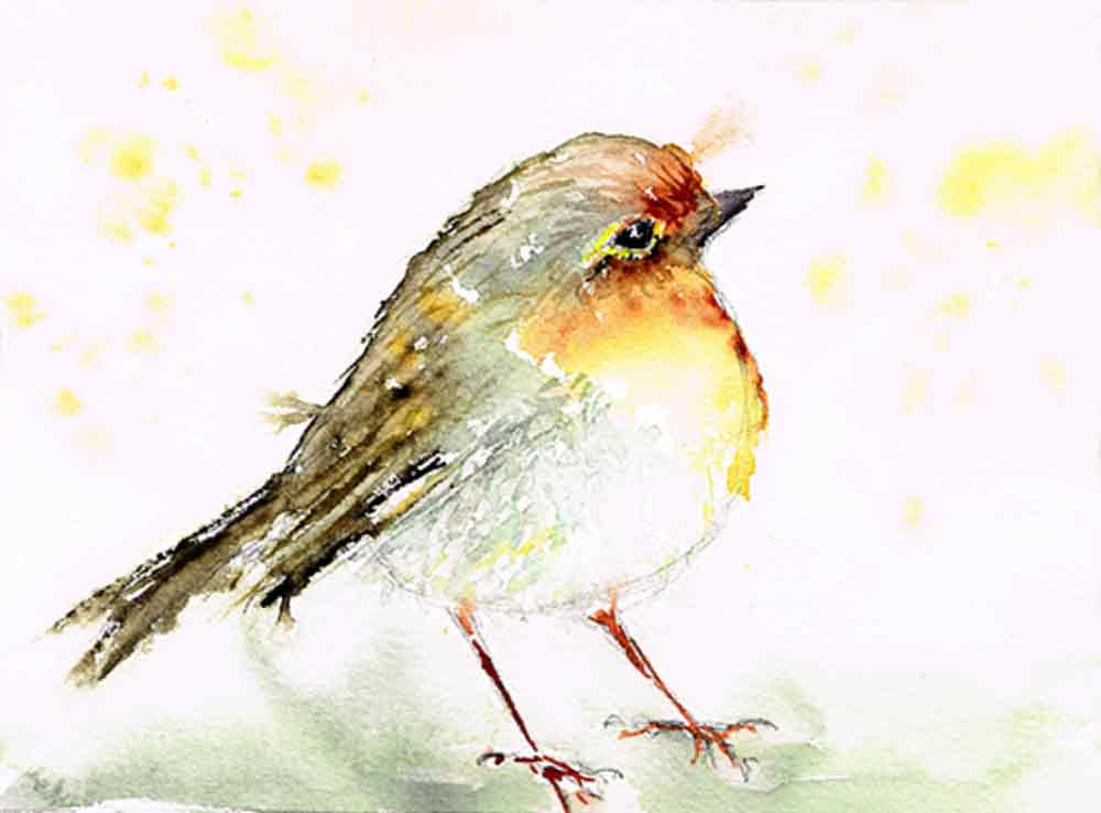 Fat-robin-little-bird-no-5-kw.jpg